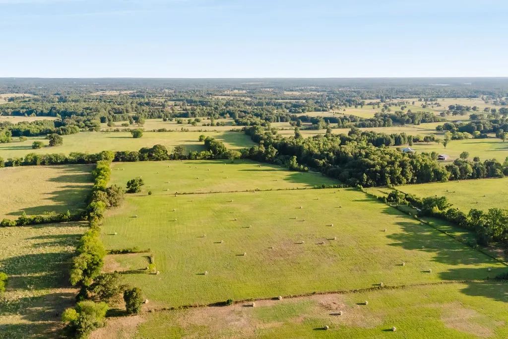 Improved Land For Sale in Wood County , TBD County Road 4990, Winnsboro, Texas 75494, 0, 0, Garage spaces, 0 Sqft, built in 0, Price $615,000, mls#21361634, Real Estate Agent in Winnsboro, Homes For Sale in Wood county, Homes For Sale in Winnsboro, Realtor in Winnsboro Texas, Real Estate Brokerage Independent Realty Texas, Luminita Cordes Realtor