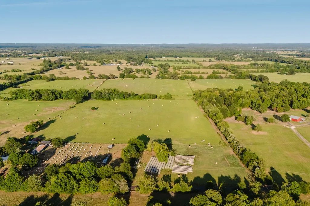 Improved Land For Sale in Wood County , TBD County Road 4990, Winnsboro, Texas 75494, 0, 0, Garage spaces, 0 Sqft, built in 0, Price $615,000, mls#21361634, Real Estate Agent in Winnsboro, Homes For Sale in Wood county, Homes For Sale in Winnsboro, Realtor in Winnsboro Texas, Real Estate Brokerage Independent Realty Texas, Luminita Cordes Realtor