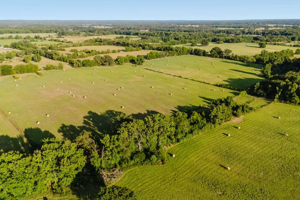 Improved Land For Sale in Wood County , TBD County Road 4990, Winnsboro, Texas 75494, 0, 0, Garage spaces, 0 Sqft, built in 0, Price $615,000, mls#21361634, Real Estate Agent in Winnsboro, Homes For Sale in Wood county, Homes For Sale in Winnsboro, Realtor in Winnsboro Texas, Real Estate Brokerage Independent Realty Texas, Luminita Cordes Realtor