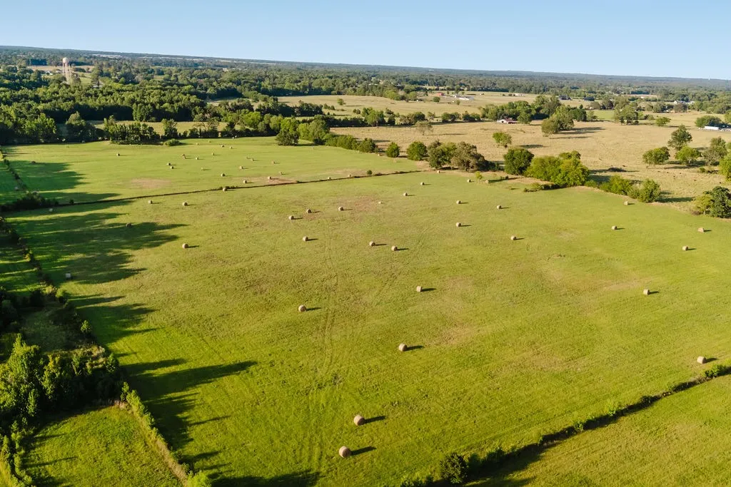Improved Land For Sale in Wood County , TBD County Road 4990, Winnsboro, Texas 75494, 0, 0, Garage spaces, 0 Sqft, built in 0, Price $615,000, mls#21361634, Real Estate Agent in Winnsboro, Homes For Sale in Wood county, Homes For Sale in Winnsboro, Realtor in Winnsboro Texas, Real Estate Brokerage Independent Realty Texas, Luminita Cordes Realtor