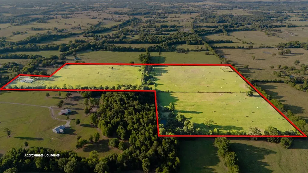 Improved Land For Sale in Wood County , TBD County Road 4990, Winnsboro, Texas 75494, 0, 0, Garage spaces, 0 Sqft, built in 0, Price $615,000, mls#21361634, Real Estate Agent in Winnsboro, Homes For Sale in Wood county, Homes For Sale in Winnsboro, Realtor in Winnsboro Texas, Real Estate Brokerage Independent Realty Texas, Luminita Cordes Realtor