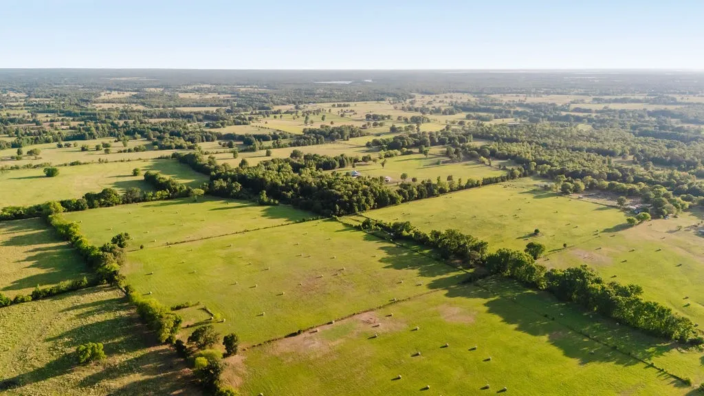Improved Land For Sale in Wood County , TBD County Road 4990, Winnsboro, Texas 75494, 0, 0, Garage spaces, 0 Sqft, built in 0, Price $615,000, mls#21361634, Real Estate Agent in Winnsboro, Homes For Sale in Wood county, Homes For Sale in Winnsboro, Realtor in Winnsboro Texas, Real Estate Brokerage Independent Realty Texas, Luminita Cordes Realtor