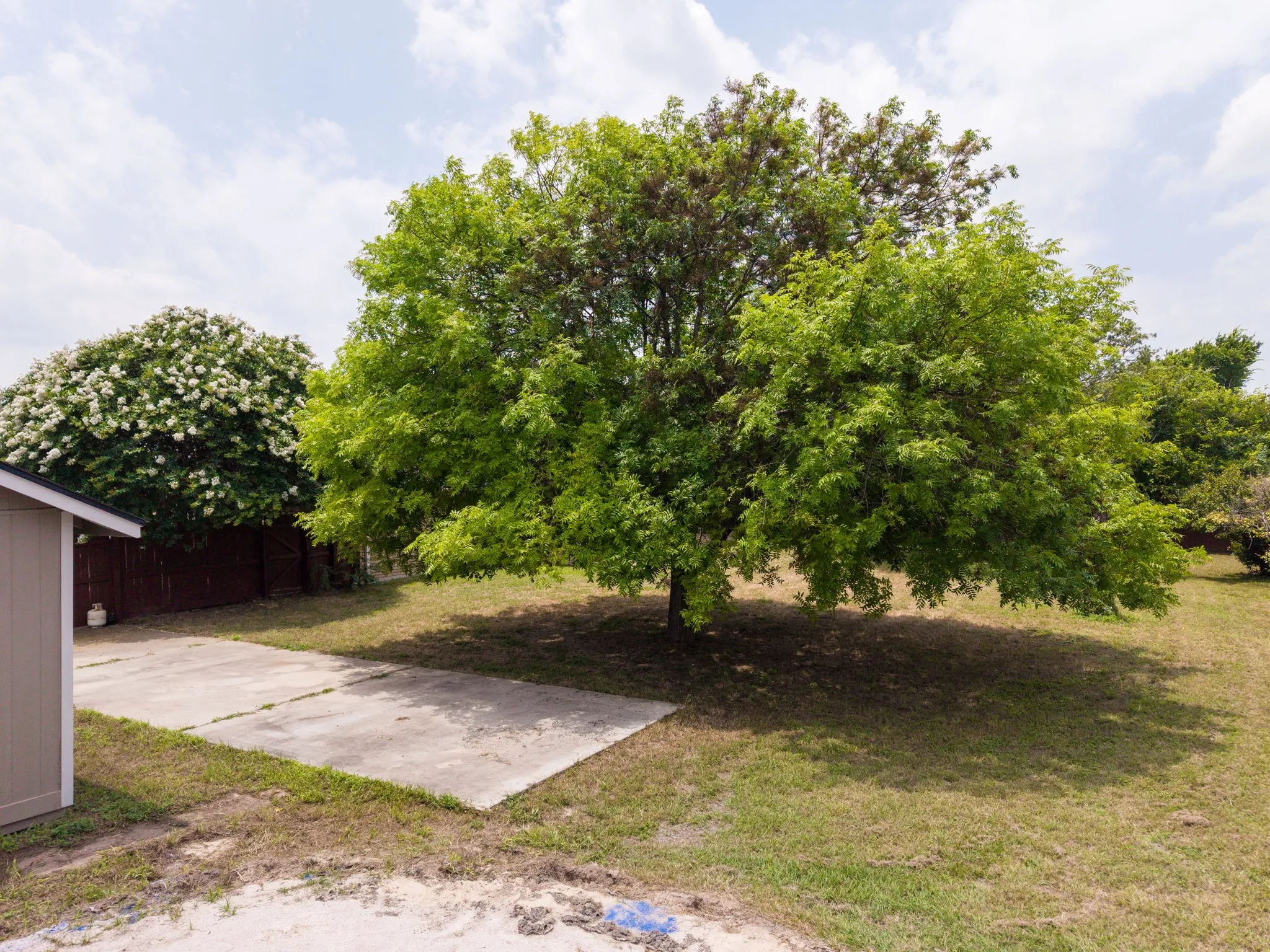Expansive grassy area featuring mature trees and a large concrete pad