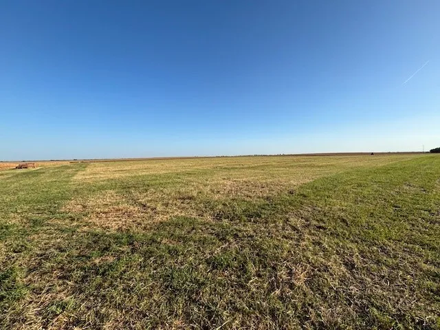 Unimproved Land For Sale in Hill County , TBD FM 67 Highway, Covington, Texas 76636, 0, 0, Garage spaces, 0 Sqft, built in 0, Price $234,900, mls#21355341, Real Estate Agent in Covington, Homes For Sale in Hill county, Homes For Sale in Covington, Realtor in Covington Texas, Real Estate Brokerage Independent Realty Texas, Luminita Cordes Realtor