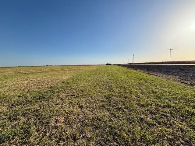 Unimproved Land For Sale in Hill County , TBD FM 67 Highway, Covington, Texas 76636, 0, 0, Garage spaces, 0 Sqft, built in 0, Price $234,900, mls#21355341, Real Estate Agent in Covington, Homes For Sale in Hill county, Homes For Sale in Covington, Realtor in Covington Texas, Real Estate Brokerage Independent Realty Texas, Luminita Cordes Realtor