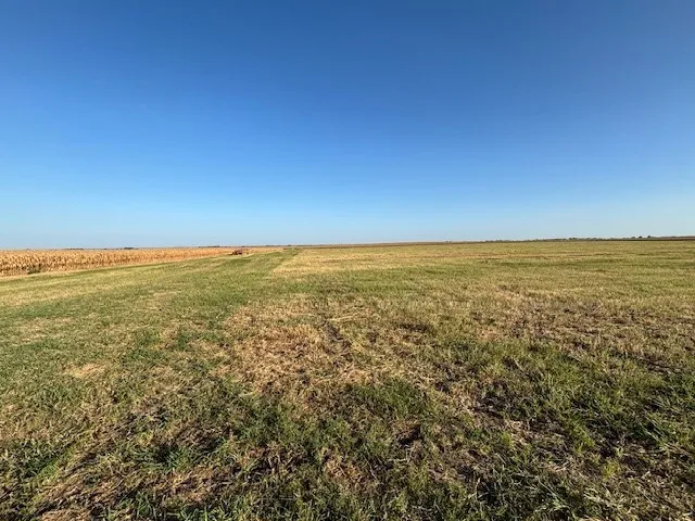 Unimproved Land For Sale in Hill County , TBD FM 67 Highway, Covington, Texas 76636, 0, 0, Garage spaces, 0 Sqft, built in 0, Price $234,900, mls#21355341, Real Estate Agent in Covington, Homes For Sale in Hill county, Homes For Sale in Covington, Realtor in Covington Texas, Real Estate Brokerage Independent Realty Texas, Luminita Cordes Realtor
