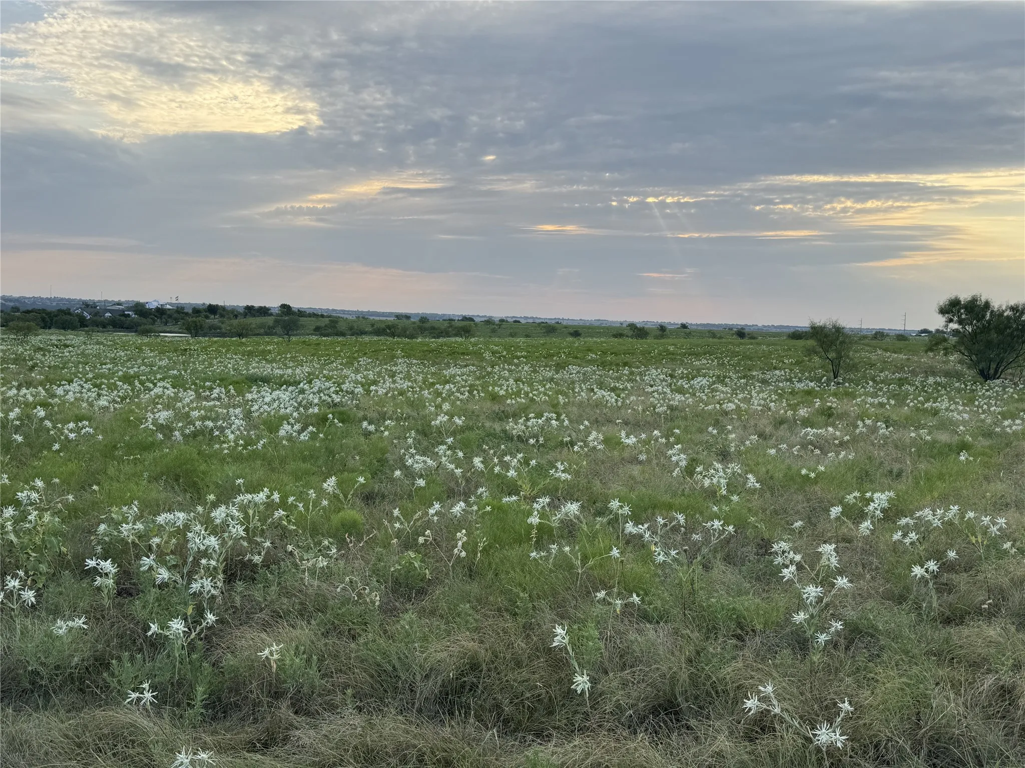 Ranch For Sale in Wise County , 145 Private Road 4512, Decatur, Texas 76234, 0, 0, Garage spaces, 0 Sqft, built in 0, Price $416,500, mls#21361710, Real Estate Agent in Decatur, Homes For Sale in Wise county, Homes For Sale in Decatur, Realtor in Decatur Texas, Real Estate Brokerage Independent Realty Texas, Luminita Cordes Realtor