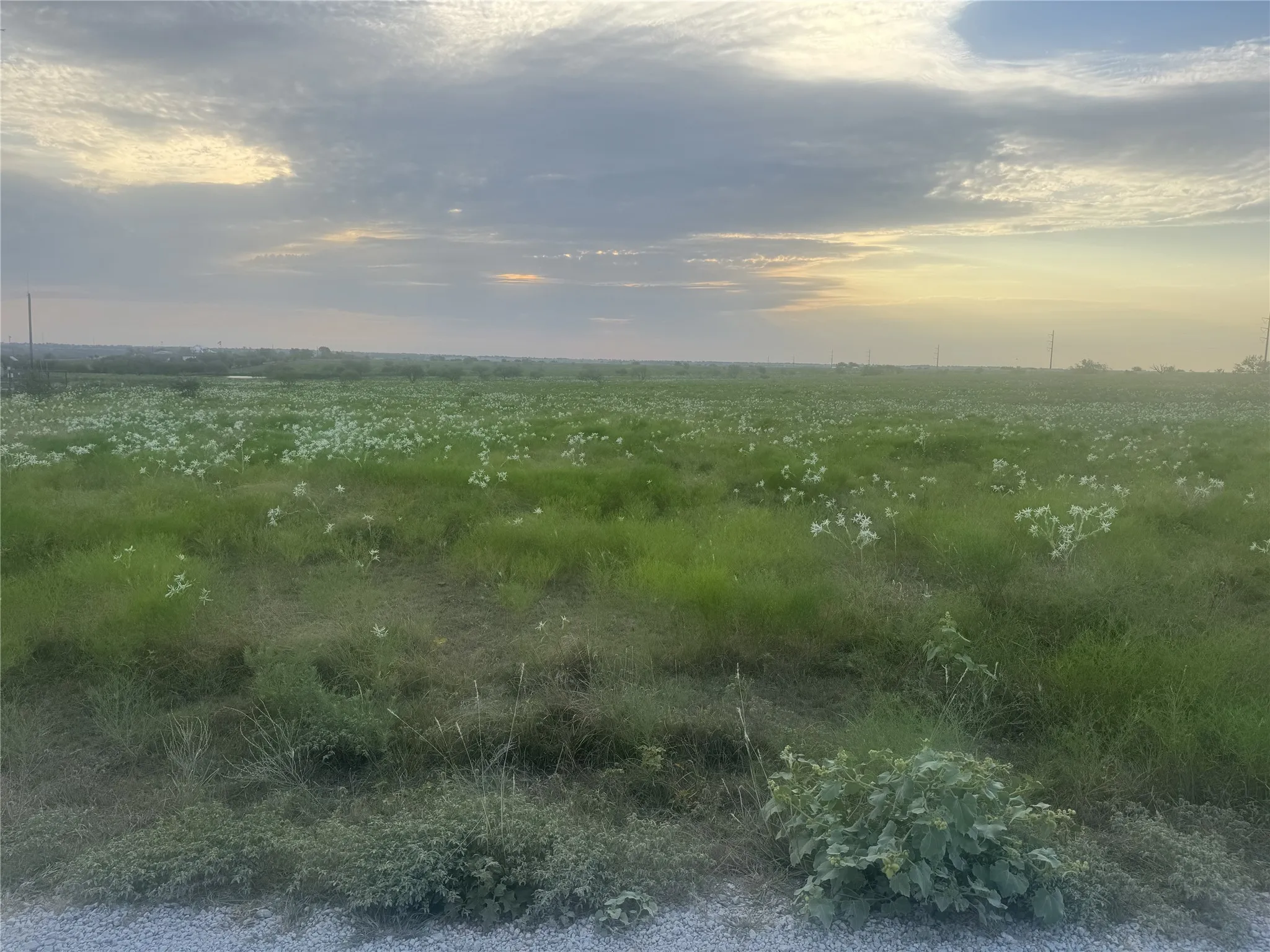 Ranch For Sale in Wise County , 145 Private Road 4512, Decatur, Texas 76234, 0, 0, Garage spaces, 0 Sqft, built in 0, Price $416,500, mls#21361710, Real Estate Agent in Decatur, Homes For Sale in Wise county, Homes For Sale in Decatur, Realtor in Decatur Texas, Real Estate Brokerage Independent Realty Texas, Luminita Cordes Realtor