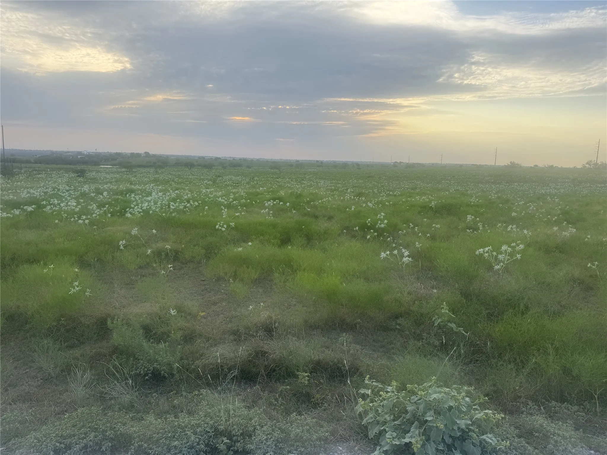 Ranch For Sale in Wise County , 145 Private Road 4512, Decatur, Texas 76234, 0, 0, Garage spaces, 0 Sqft, built in 0, Price $416,500, mls#21361710, Real Estate Agent in Decatur, Homes For Sale in Wise county, Homes For Sale in Decatur, Realtor in Decatur Texas, Real Estate Brokerage Independent Realty Texas, Luminita Cordes Realtor