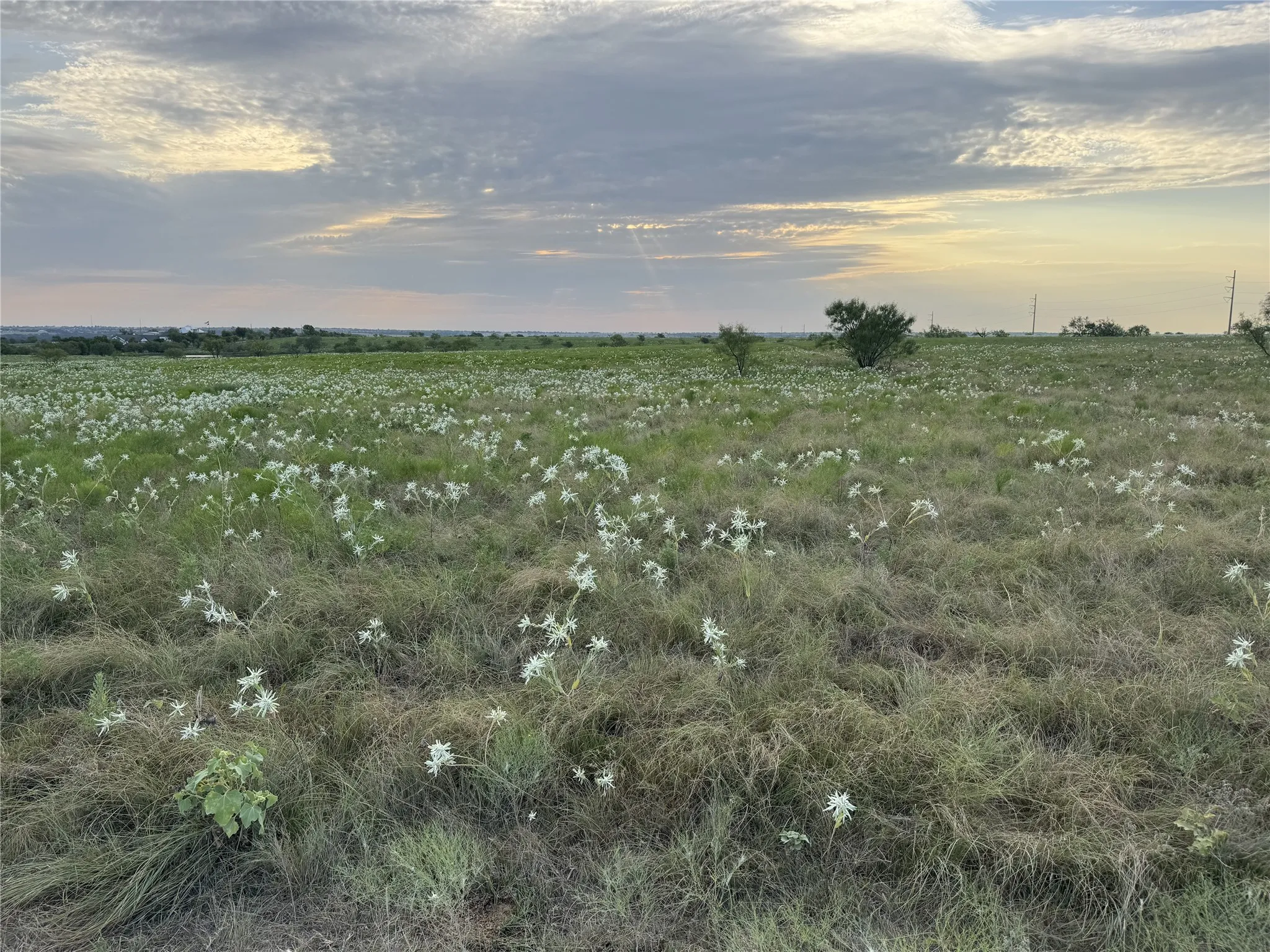 Ranch For Sale in Wise County , 145 Private Road 4512, Decatur, Texas 76234, 0, 0, Garage spaces, 0 Sqft, built in 0, Price $416,500, mls#21361710, Real Estate Agent in Decatur, Homes For Sale in Wise county, Homes For Sale in Decatur, Realtor in Decatur Texas, Real Estate Brokerage Independent Realty Texas, Luminita Cordes Realtor