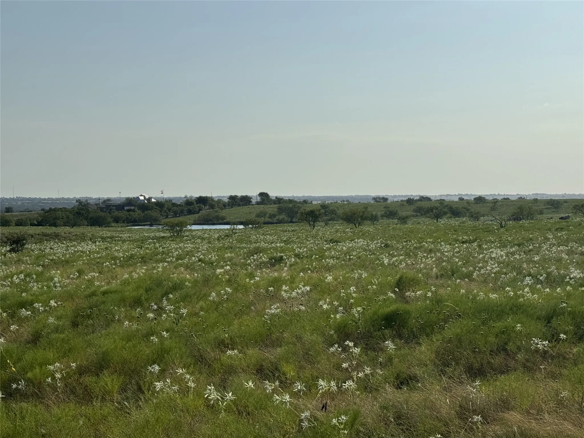Ranch For Sale in Wise County , 145 Private Road 4512, Decatur, Texas 76234, 0, 0, Garage spaces, 0 Sqft, built in 0, Price $416,500, mls#21361710, Real Estate Agent in Decatur, Homes For Sale in Wise county, Homes For Sale in Decatur, Realtor in Decatur Texas, Real Estate Brokerage Independent Realty Texas, Luminita Cordes Realtor