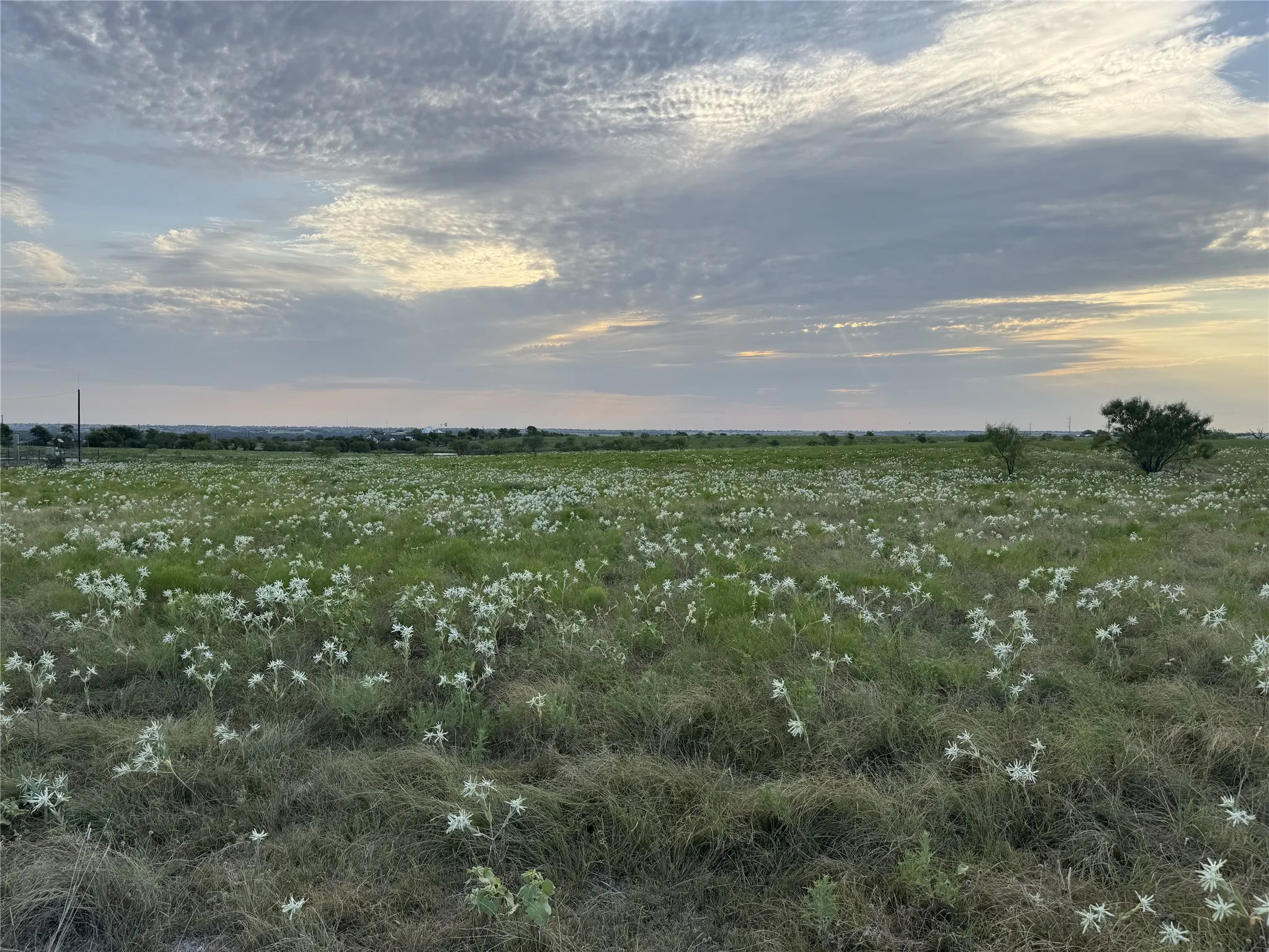 Ranch For Sale in Wise County , 145 Private Road 4512, Decatur, Texas 76234, 0, 0, Garage spaces, 0 Sqft, built in 0, Price $416,500, mls#21361710, Real Estate Agent in Decatur, Homes For Sale in Wise county, Homes For Sale in Decatur, Realtor in Decatur Texas, Real Estate Brokerage Independent Realty Texas, Luminita Cordes Realtor