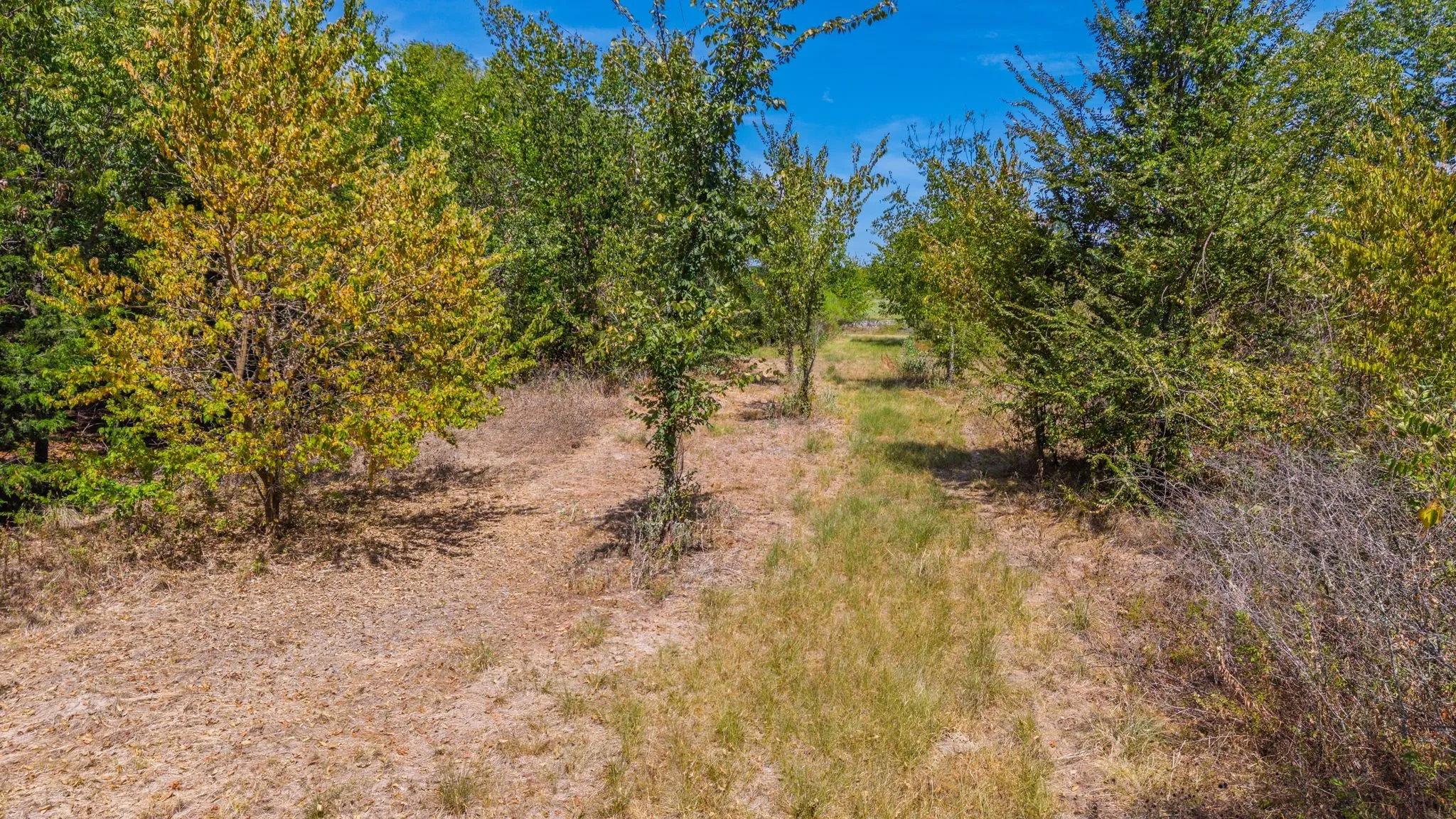 Unimproved Land For Sale in Hunt County , TBD I-30, Campbell, Texas 75422, 0, 0, Garage spaces, 0 Sqft, built in 0, Price $1,075,410, mls#21361713, Real Estate Agent in Campbell, Homes For Sale in Hunt county, Homes For Sale in Campbell, Realtor in Campbell Texas, Real Estate Brokerage Independent Realty Texas, Luminita Cordes Realtor