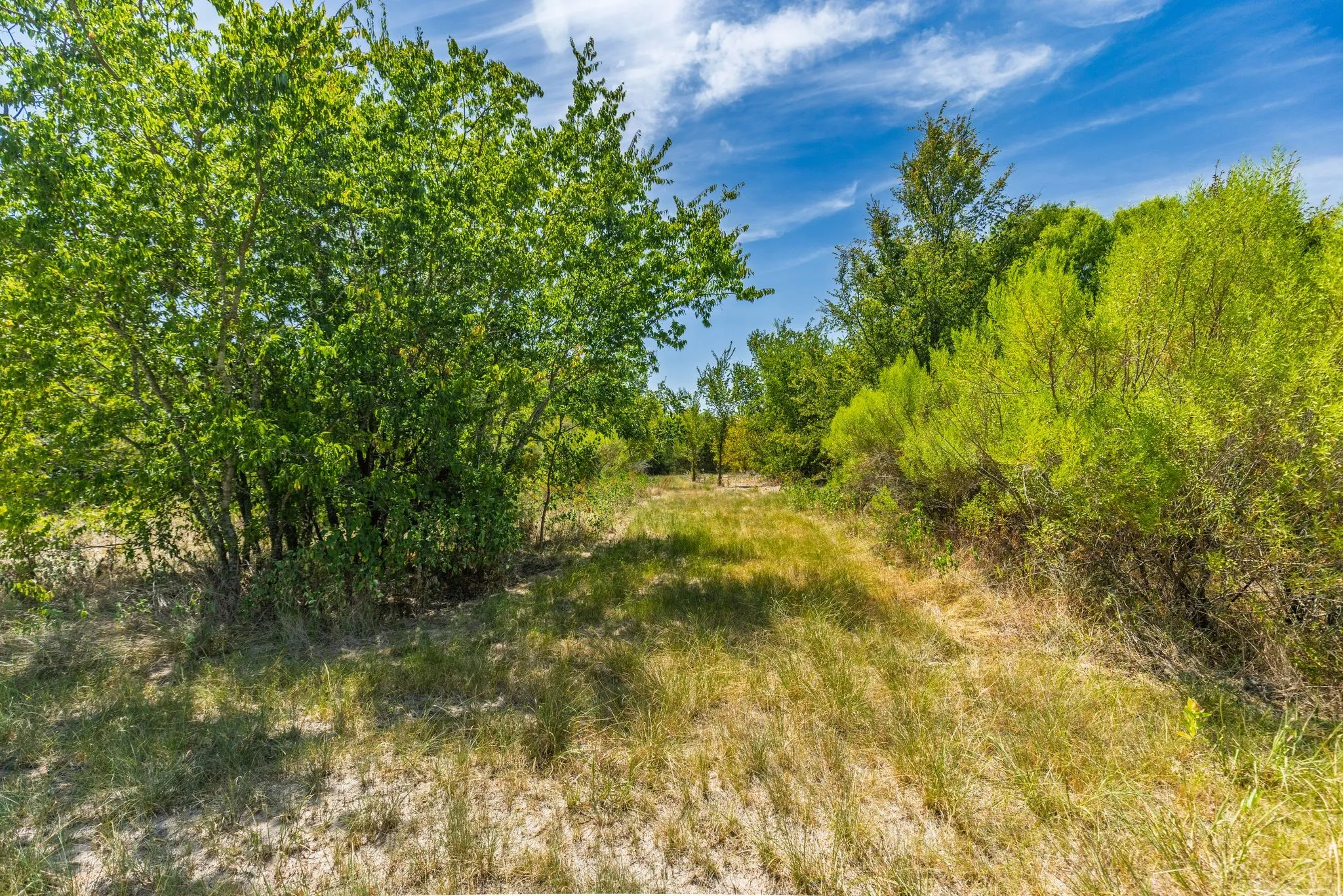 Unimproved Land For Sale in Hunt County , TBD I-30, Campbell, Texas 75422, 0, 0, Garage spaces, 0 Sqft, built in 0, Price $1,075,410, mls#21361713, Real Estate Agent in Campbell, Homes For Sale in Hunt county, Homes For Sale in Campbell, Realtor in Campbell Texas, Real Estate Brokerage Independent Realty Texas, Luminita Cordes Realtor