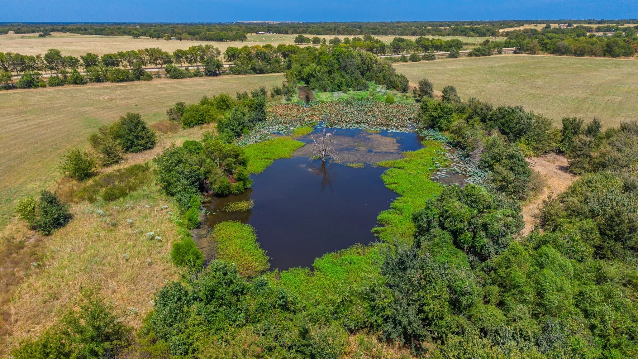 Unimproved Land For Sale in Hunt County , TBD I-30, Campbell, Texas 75422, 0, 0, Garage spaces, 0 Sqft, built in 0, Price $1,075,410, mls#21361713, Real Estate Agent in Campbell, Homes For Sale in Hunt county, Homes For Sale in Campbell, Realtor in Campbell Texas, Real Estate Brokerage Independent Realty Texas, Luminita Cordes Realtor