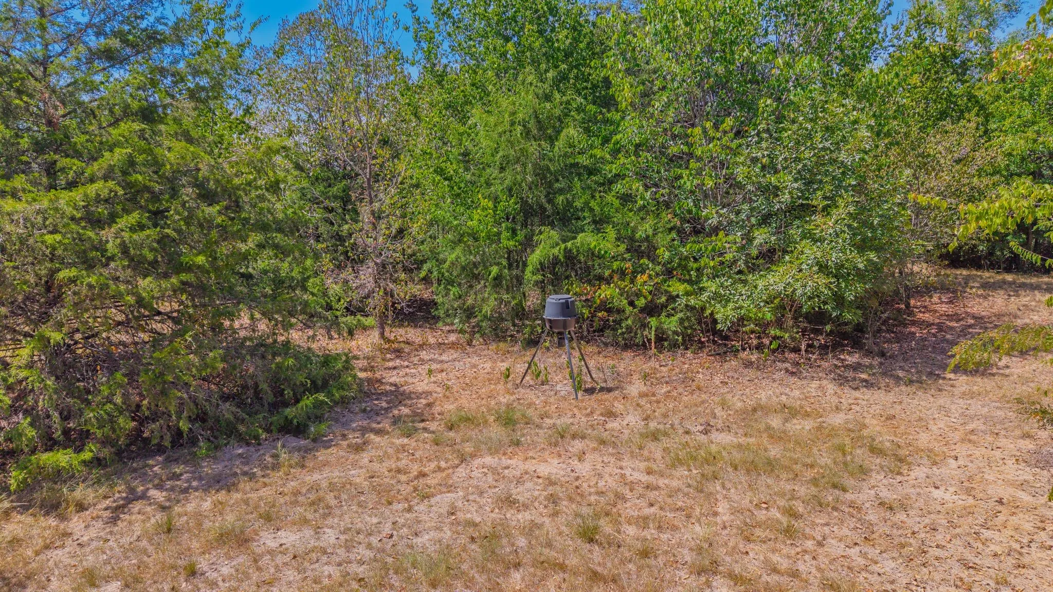 Unimproved Land For Sale in Hunt County , TBD I-30, Campbell, Texas 75422, 0, 0, Garage spaces, 0 Sqft, built in 0, Price $1,075,410, mls#21361713, Real Estate Agent in Campbell, Homes For Sale in Hunt county, Homes For Sale in Campbell, Realtor in Campbell Texas, Real Estate Brokerage Independent Realty Texas, Luminita Cordes Realtor
