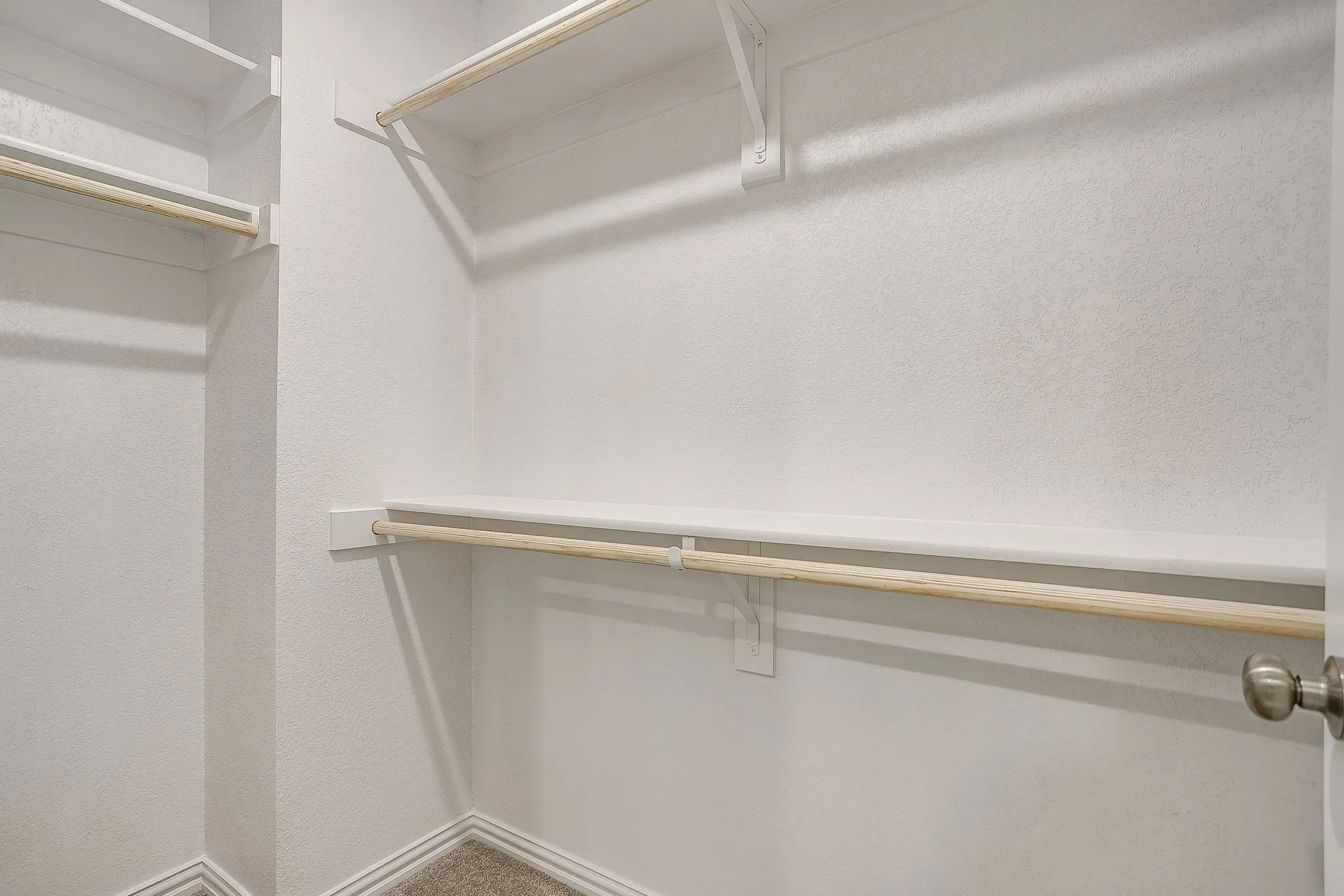 Walk in closet featuring carpet
