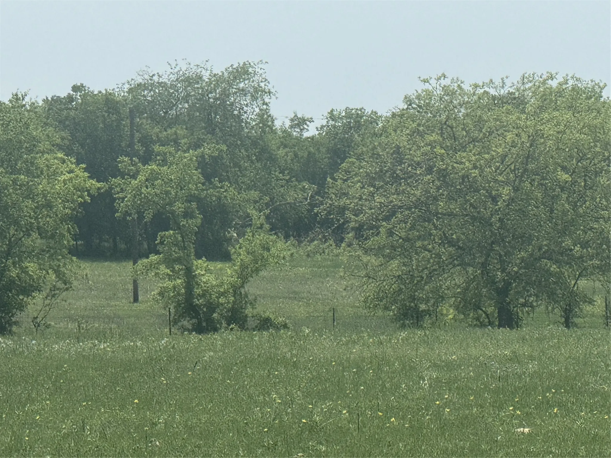 Unimproved Land For Sale in Wise County , 340 Private Road 4512, Decatur, Texas 76234, 0, 0, Garage spaces, 0 Sqft, built in 0, Price $351,050, mls#21361722, Real Estate Agent in Decatur, Homes For Sale in Wise county, Homes For Sale in Decatur, Realtor in Decatur Texas, Real Estate Brokerage Independent Realty Texas, Luminita Cordes Realtor