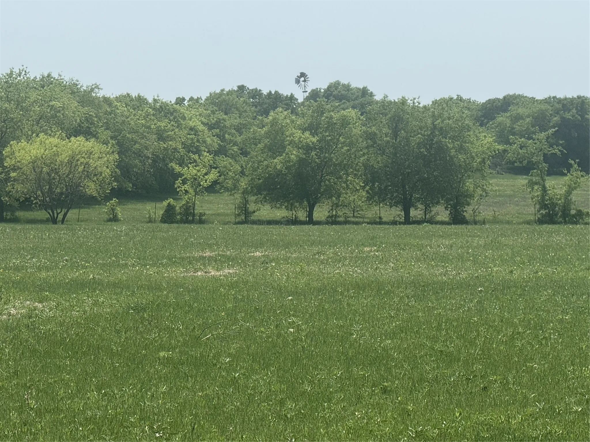 Unimproved Land For Sale in Wise County , 340 Private Road 4512, Decatur, Texas 76234, 0, 0, Garage spaces, 0 Sqft, built in 0, Price $351,050, mls#21361722, Real Estate Agent in Decatur, Homes For Sale in Wise county, Homes For Sale in Decatur, Realtor in Decatur Texas, Real Estate Brokerage Independent Realty Texas, Luminita Cordes Realtor