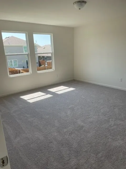 Expansive room with neutral carpeting, two large windows, white walls, and a ceiling-mounted light fixture