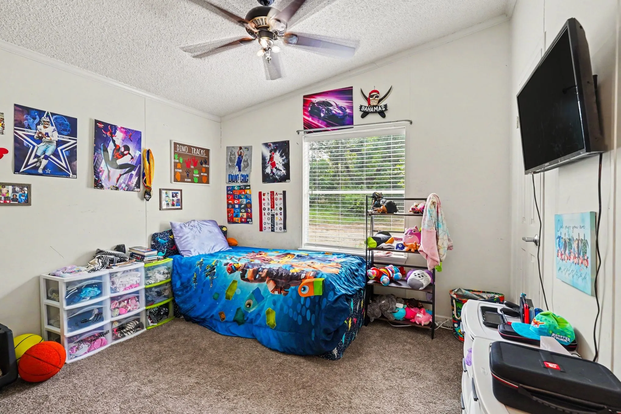 Carpeted room with a ceiling fan, window with horizontal blinds, and a wall-mounted television
