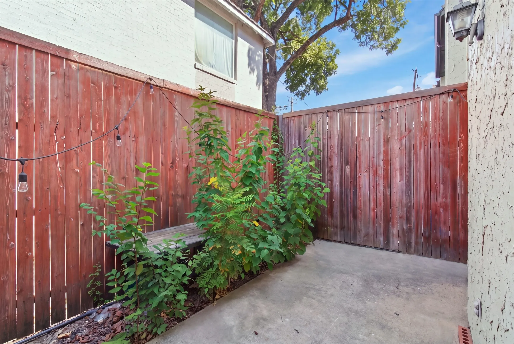Secure rear courtyard featuring weathered wood-finish fencing, concrete hardscaping, and established climbing vegetation providing natural privacy screening