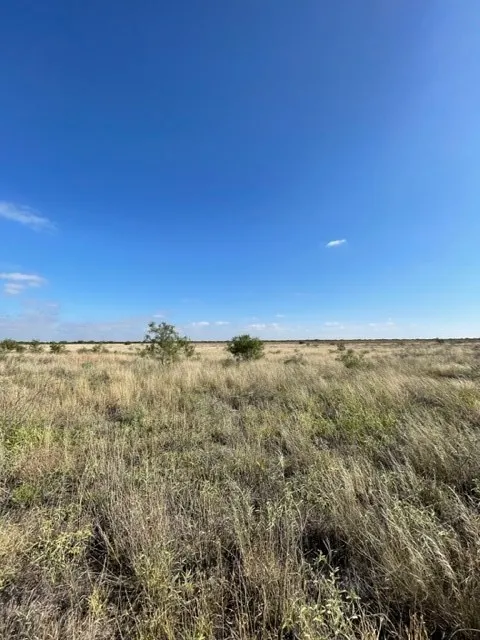 Unimproved Land For Sale in Haskell County , TBD FM 2279, Rule, Texas 79521, 0, 0, Garage spaces, 0 Sqft, built in 0, Price $75,000, mls#21355932, Real Estate Agent in Rule, Homes For Sale in Haskell county, Homes For Sale in Rule, Realtor in Rule Texas, Real Estate Brokerage Independent Realty Texas, Luminita Cordes Realtor