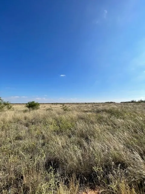 Unimproved Land For Sale in Haskell County , TBD FM 2279, Rule, Texas 79521, 0, 0, Garage spaces, 0 Sqft, built in 0, Price $75,000, mls#21355932, Real Estate Agent in Rule, Homes For Sale in Haskell county, Homes For Sale in Rule, Realtor in Rule Texas, Real Estate Brokerage Independent Realty Texas, Luminita Cordes Realtor