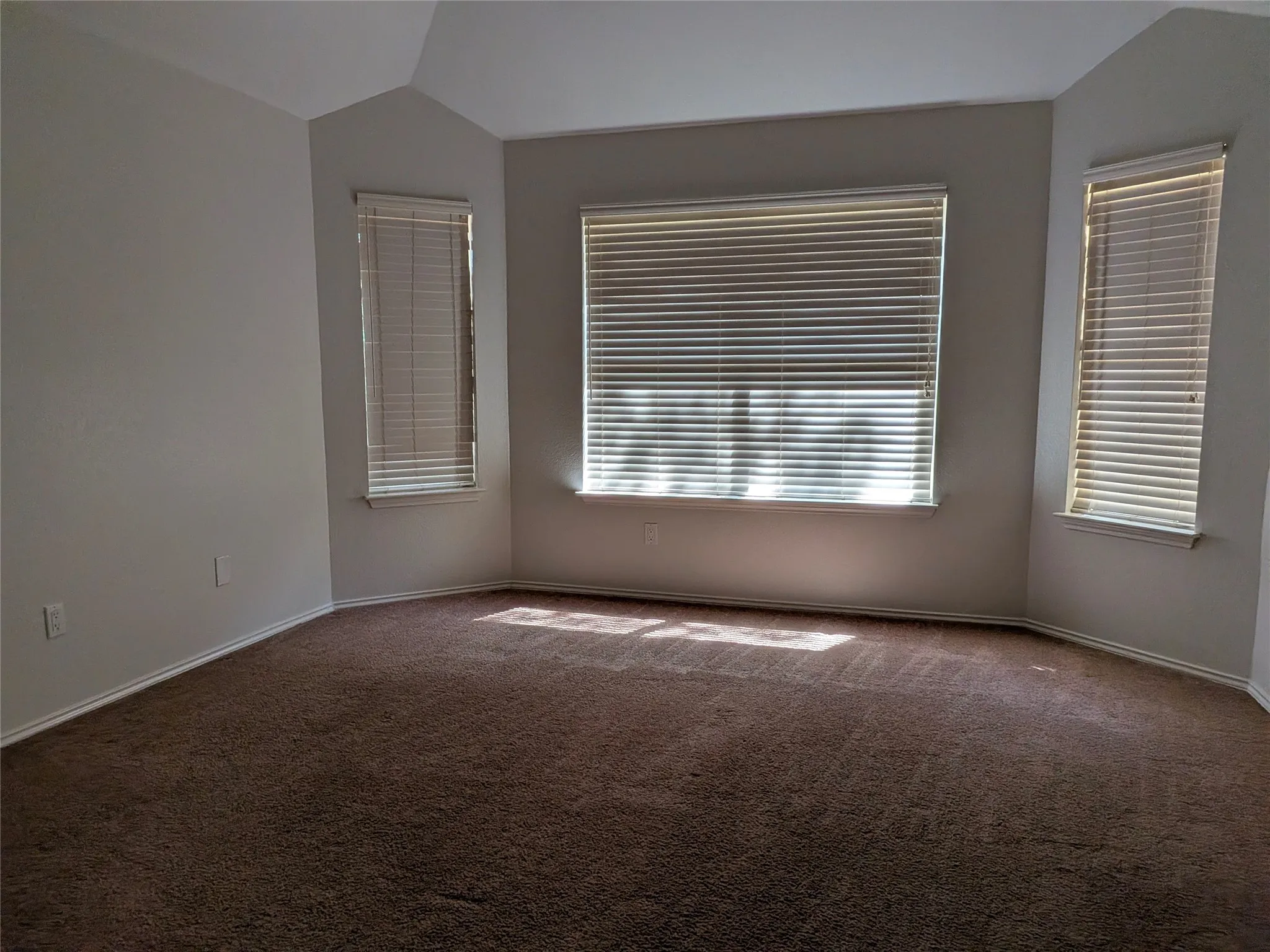 Tray ceiling with a textured finish, multiple windows with blinds, and wall-to-wall carpeting