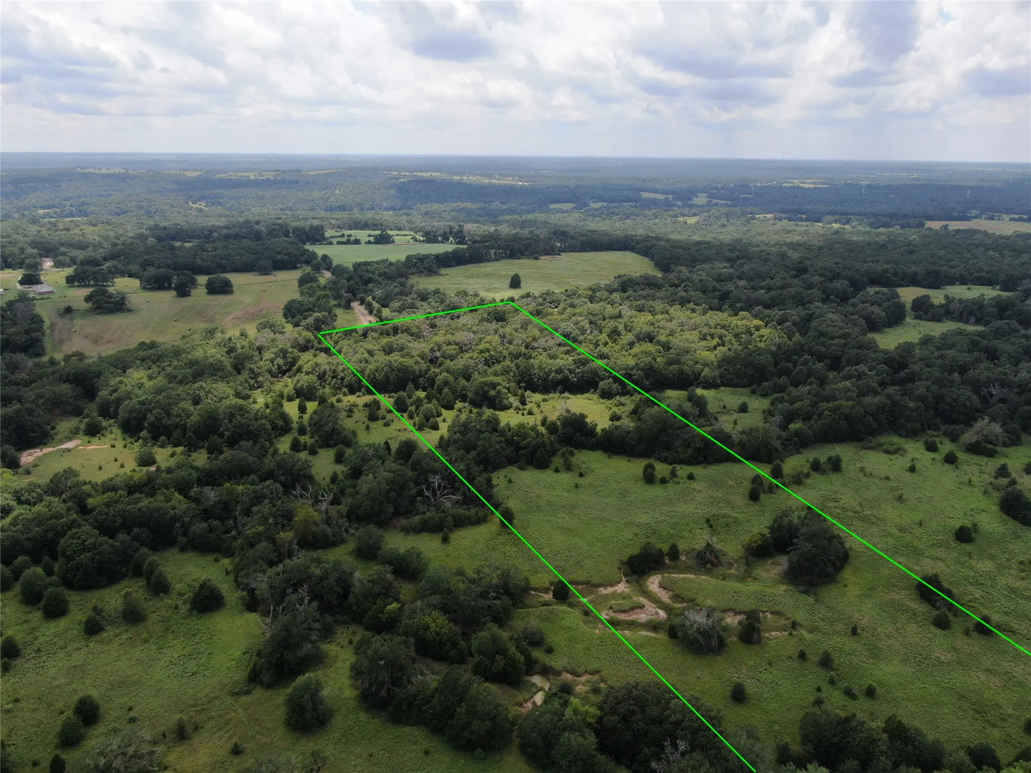 Unimproved Land For Sale in Freestone County , 1 Cr 411, Buffalo, Texas 75831, 0, 0, Garage spaces, 0 Sqft, built in 0, Price $260,000, mls#21361824, Real Estate Agent in Buffalo, Homes For Sale in Freestone county, Homes For Sale in Buffalo, Realtor in Buffalo Texas, Real Estate Brokerage Independent Realty Texas, Luminita Cordes Realtor