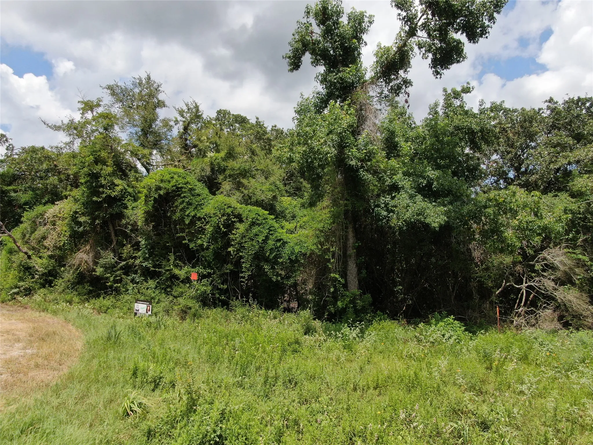Unimproved Land For Sale in Freestone County , 1 Cr 411, Buffalo, Texas 75831, 0, 0, Garage spaces, 0 Sqft, built in 0, Price $260,000, mls#21361824, Real Estate Agent in Buffalo, Homes For Sale in Freestone county, Homes For Sale in Buffalo, Realtor in Buffalo Texas, Real Estate Brokerage Independent Realty Texas, Luminita Cordes Realtor