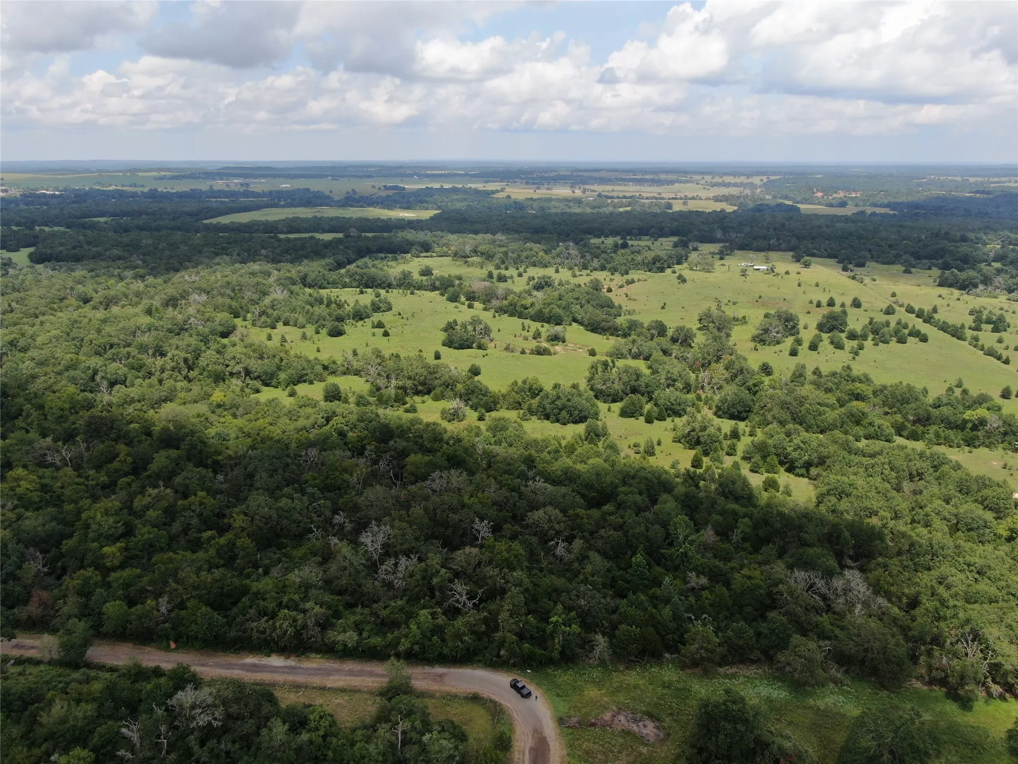 Unimproved Land For Sale in Freestone County , 1 Cr 411, Buffalo, Texas 75831, 0, 0, Garage spaces, 0 Sqft, built in 0, Price $260,000, mls#21361824, Real Estate Agent in Buffalo, Homes For Sale in Freestone county, Homes For Sale in Buffalo, Realtor in Buffalo Texas, Real Estate Brokerage Independent Realty Texas, Luminita Cordes Realtor