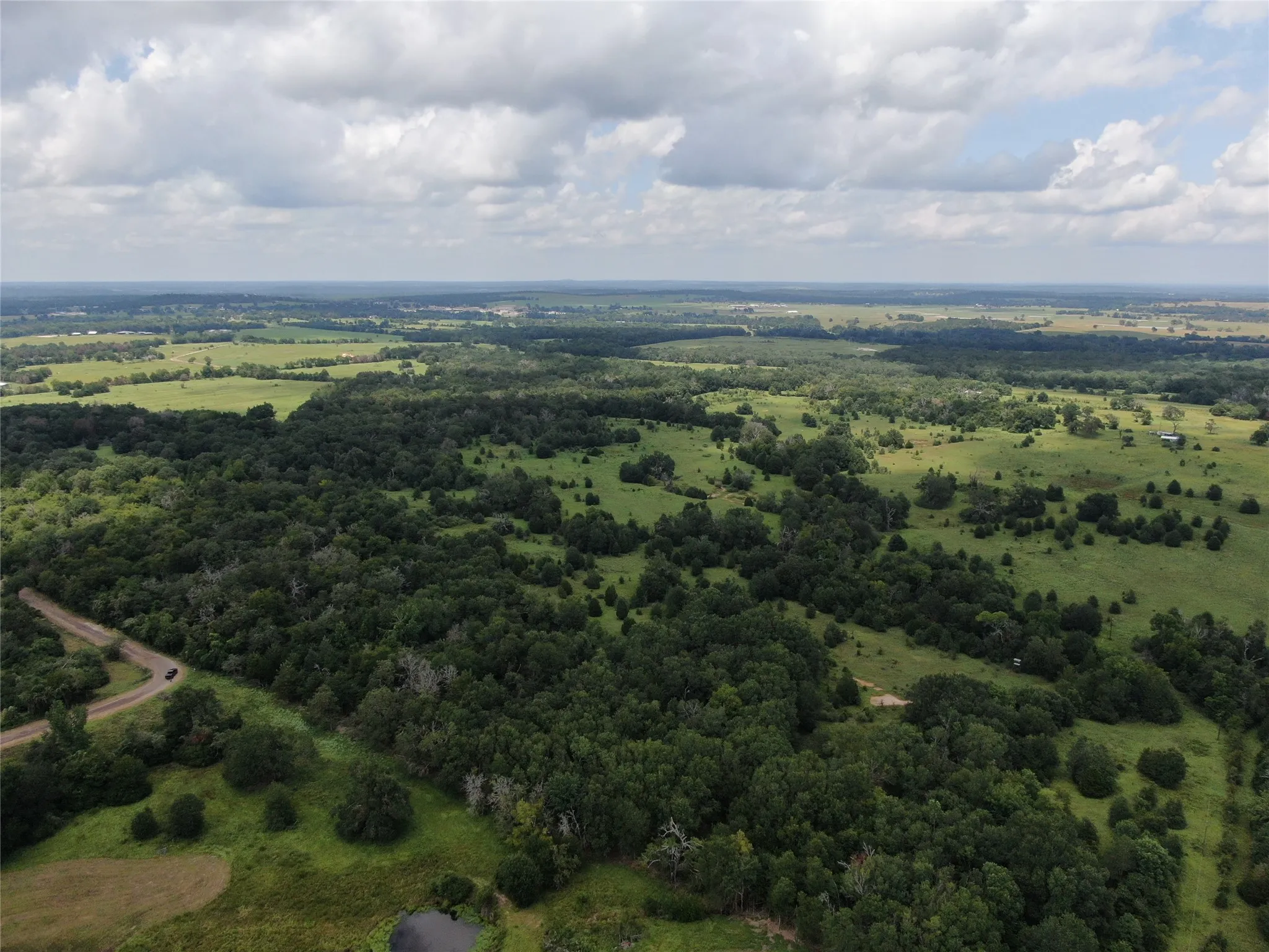 Unimproved Land For Sale in Freestone County , 1 Cr 411, Buffalo, Texas 75831, 0, 0, Garage spaces, 0 Sqft, built in 0, Price $260,000, mls#21361824, Real Estate Agent in Buffalo, Homes For Sale in Freestone county, Homes For Sale in Buffalo, Realtor in Buffalo Texas, Real Estate Brokerage Independent Realty Texas, Luminita Cordes Realtor