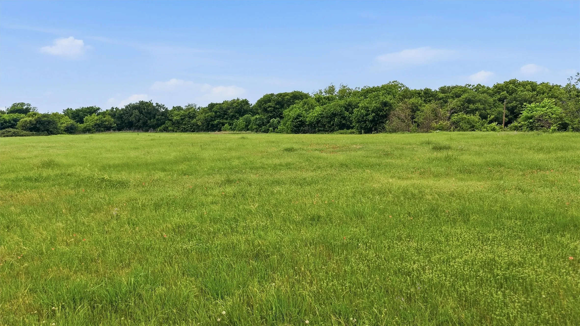 Unimproved Land For Sale in Denton County , 2.5ac Lovell Road, Aubrey, Texas 76227, 0, 0, Garage spaces, 0 Sqft, built in 0, mls#21361863, Real Estate Agent in Aubrey, Homes For Sale in Denton county, Homes For Sale in Aubrey, Realtor in Aubrey Texas, Real Estate Brokerage Independent Realty Texas, Luminita Cordes Realtor