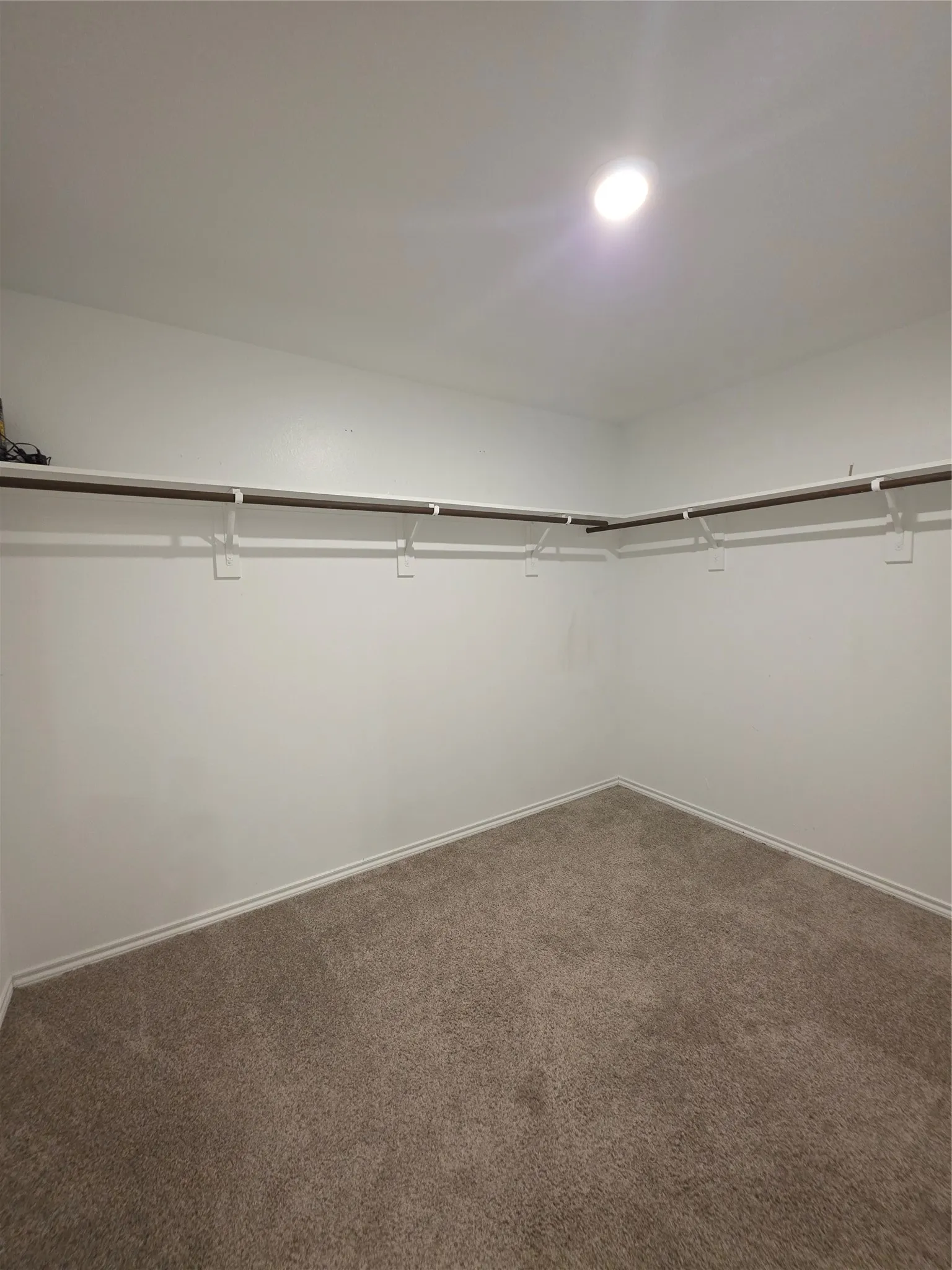 Recessed ceiling lighting, wall-mounted shelving, and carpet flooring