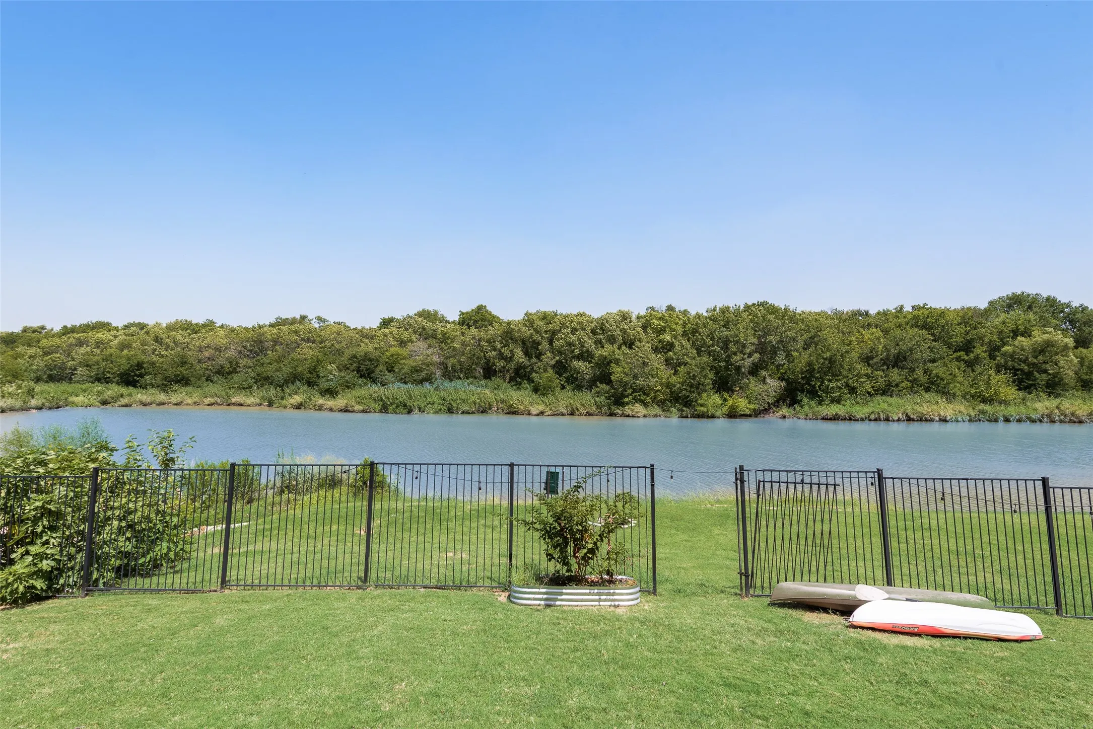 Backyard and pond