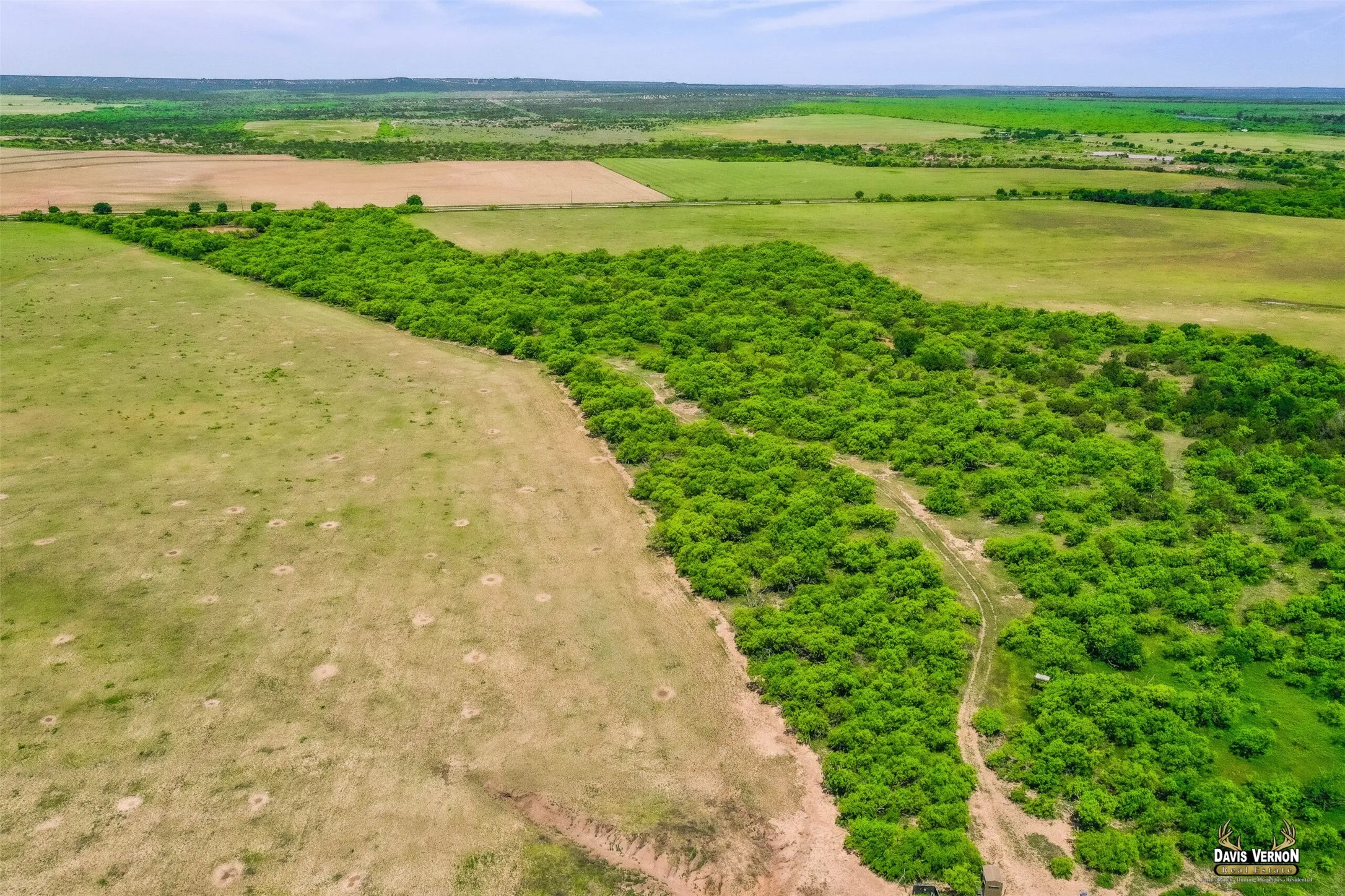 Ranch For Sale in Foard County , 0 Fm 1039, Crowell, Texas 79227, 0, 0, Garage spaces, 0 Sqft, built in 0, Price $800,000, mls#21361959, Real Estate Agent in Crowell, Homes For Sale in Foard county, Homes For Sale in Crowell, Realtor in Crowell Texas, Real Estate Brokerage Independent Realty Texas, Luminita Cordes Realtor
