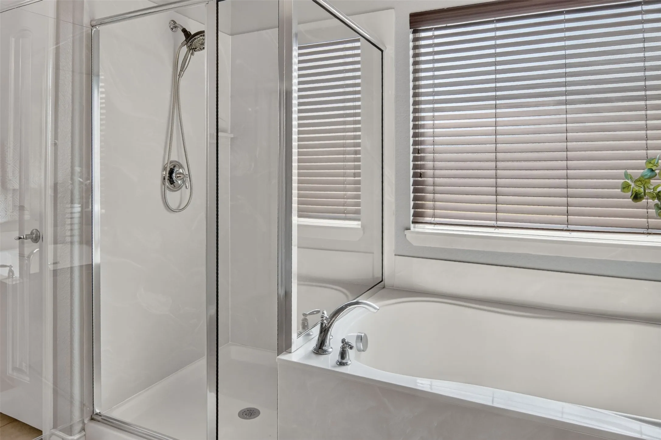 garden tub and separate shower