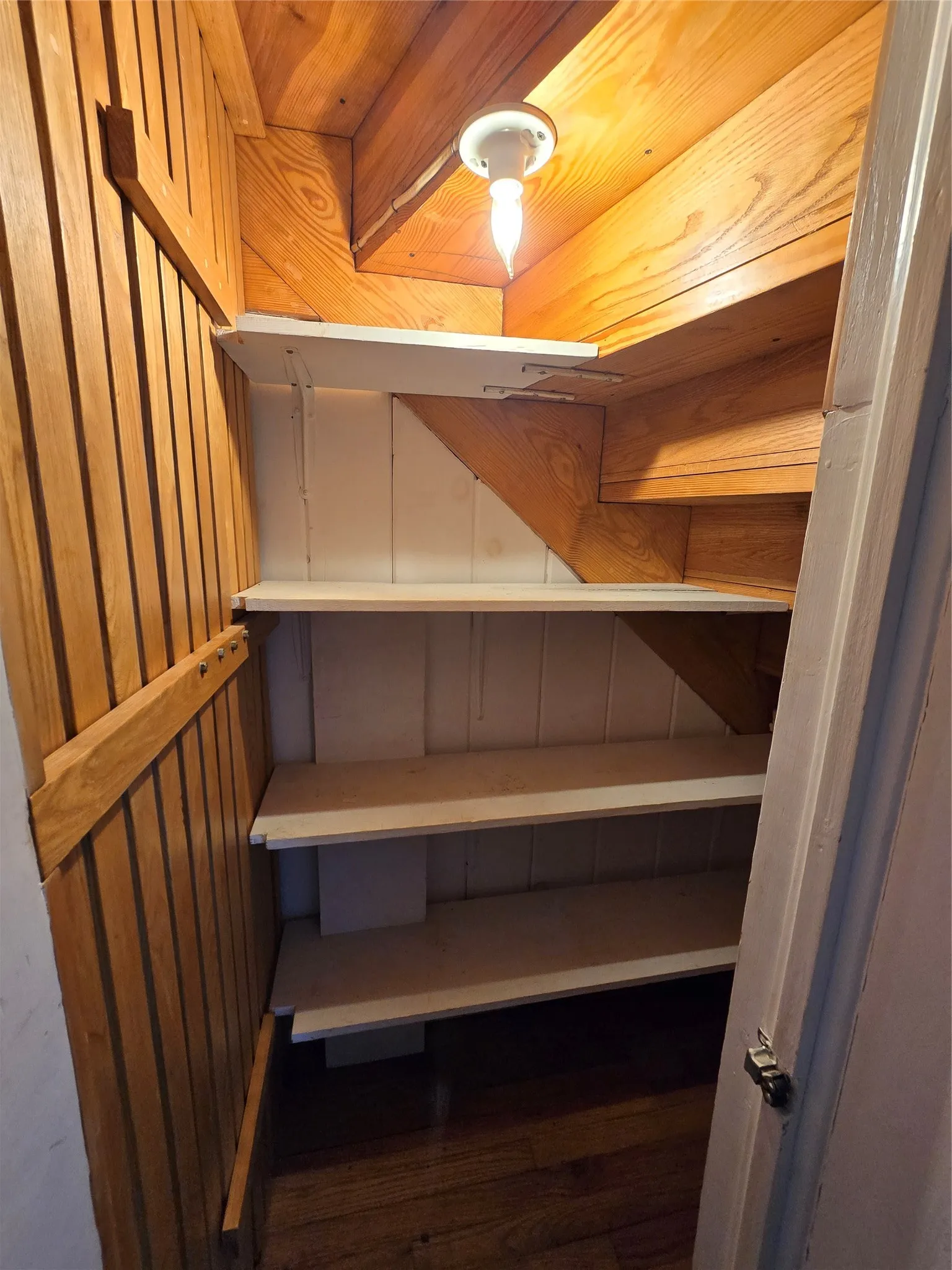Lighted storage closet under the stairs.
