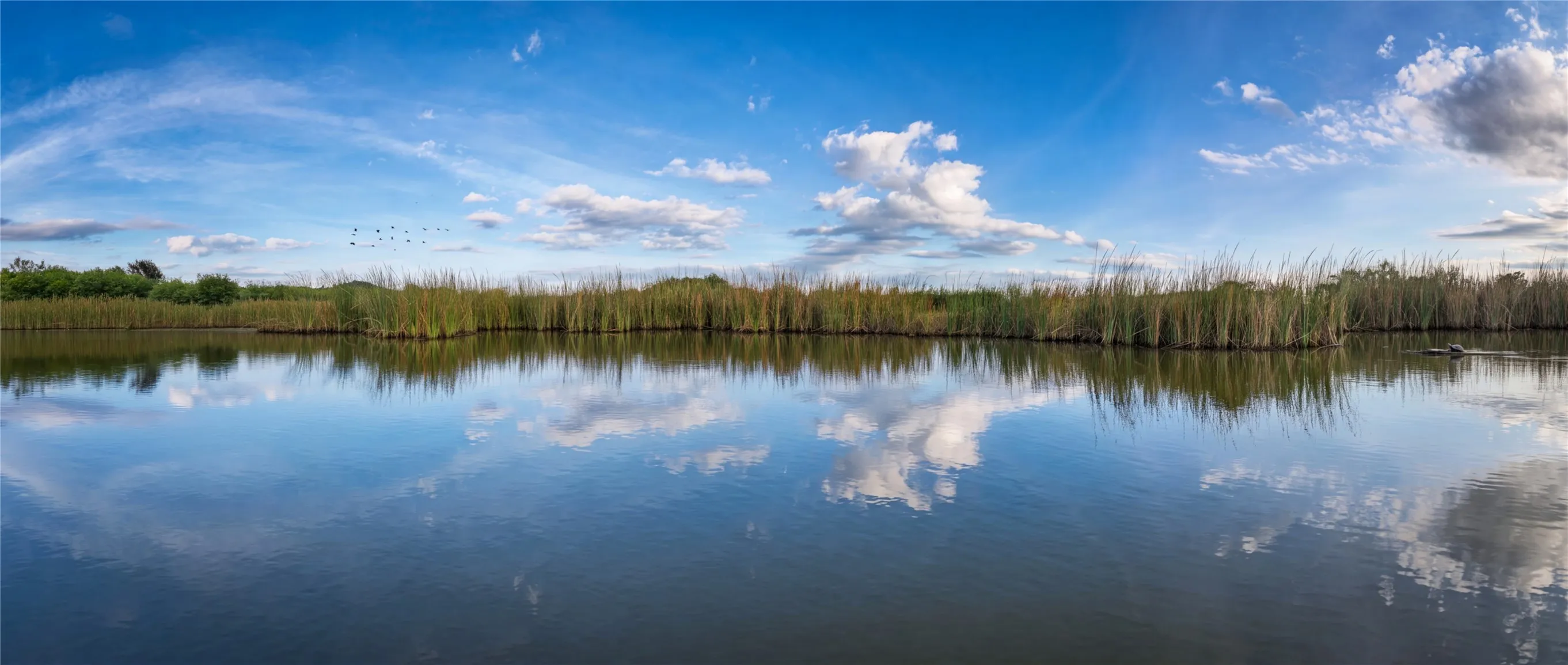 pond....