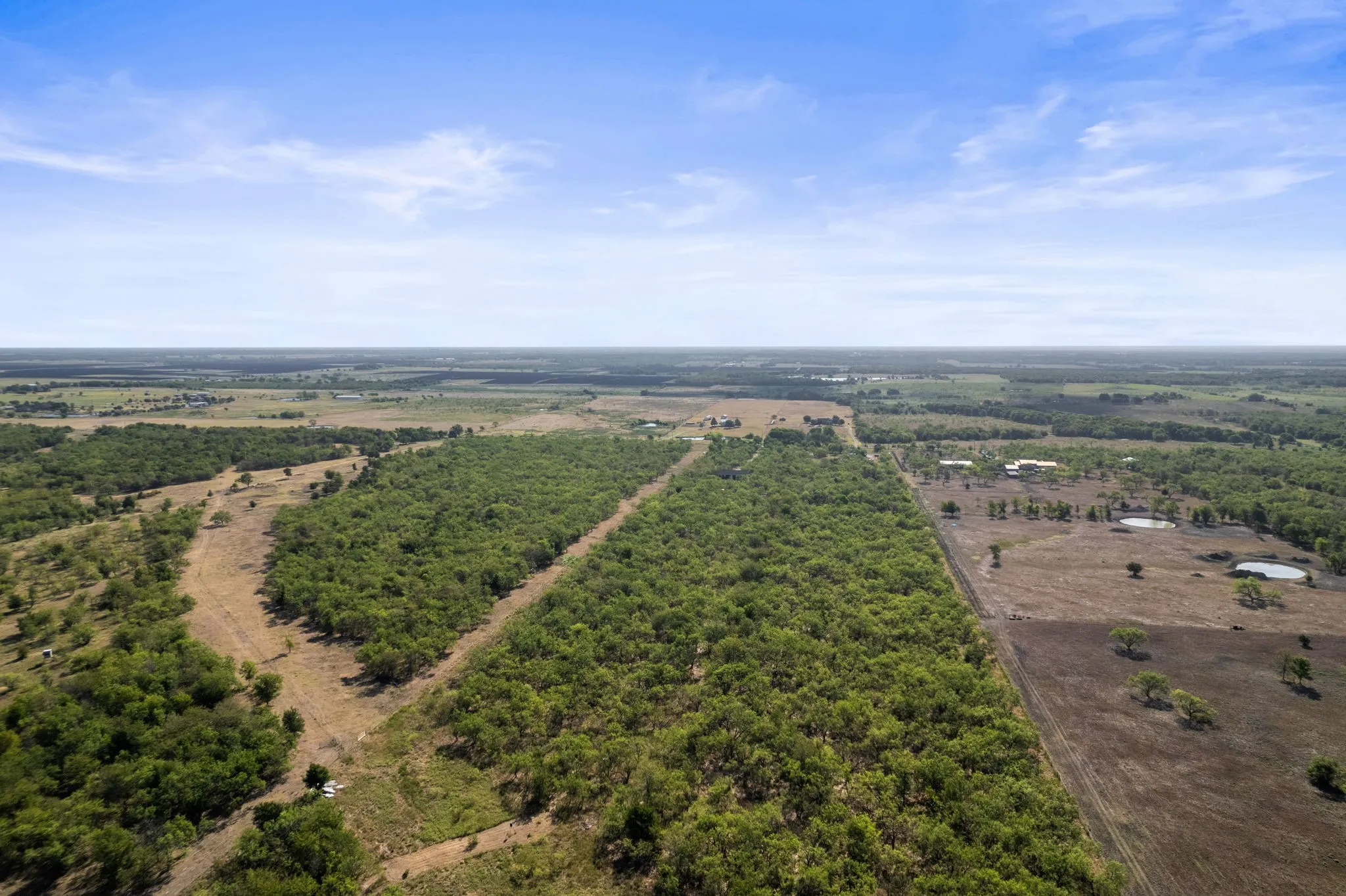 Expansive acreage featuring mature trees, open clearings, and visible water features