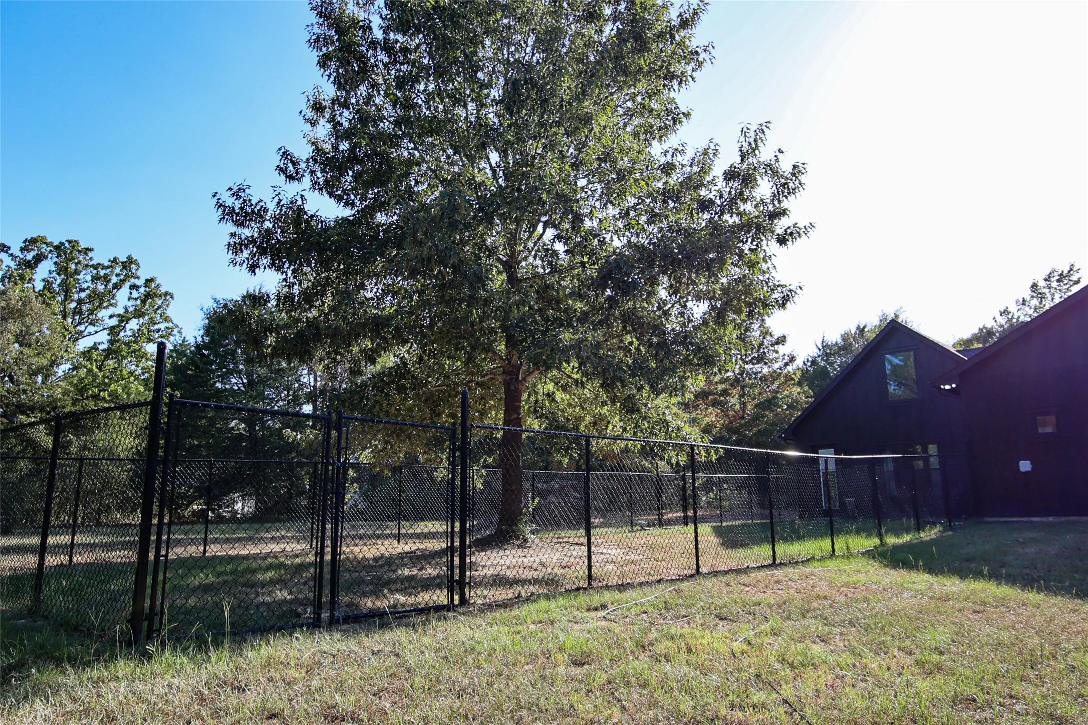 Expansive exterior space featuring a black chain-link fence, mature trees, and a dark-toned structure