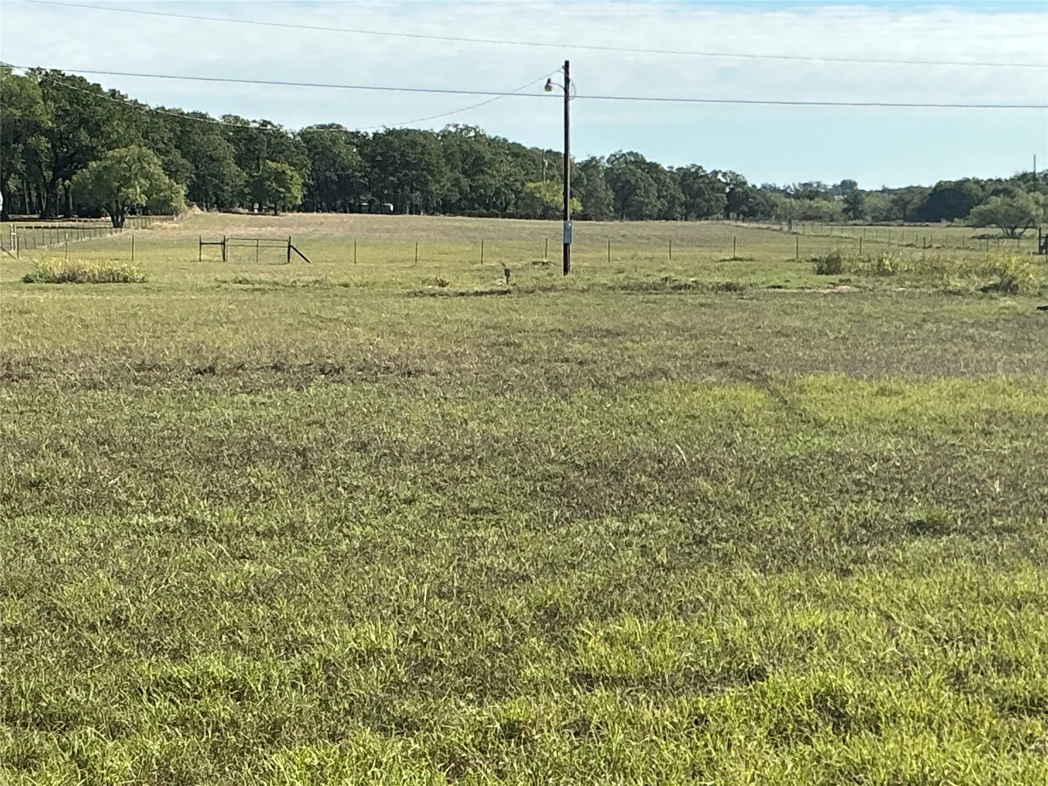 Improved Land For Sale in Erath County , 2561 County Road 279, Dublin, Texas 76446, 0, 0, Garage spaces, 0 Sqft, built in 0, mls#21354284, Real Estate Agent in Dublin, Homes For Sale in Erath county, Homes For Sale in Dublin, Realtor in Dublin Texas, Real Estate Brokerage Independent Realty Texas, Luminita Cordes Realtor