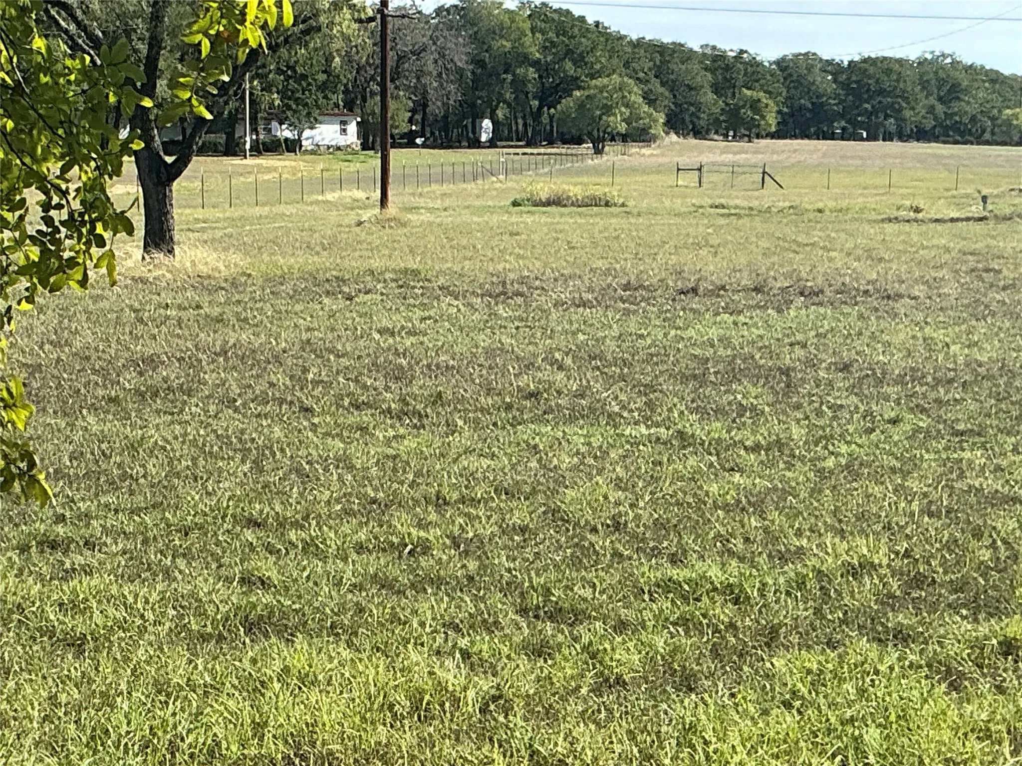 Improved Land For Sale in Erath County , 2561 County Road 279, Dublin, Texas 76446, 0, 0, Garage spaces, 0 Sqft, built in 0, mls#21354284, Real Estate Agent in Dublin, Homes For Sale in Erath county, Homes For Sale in Dublin, Realtor in Dublin Texas, Real Estate Brokerage Independent Realty Texas, Luminita Cordes Realtor