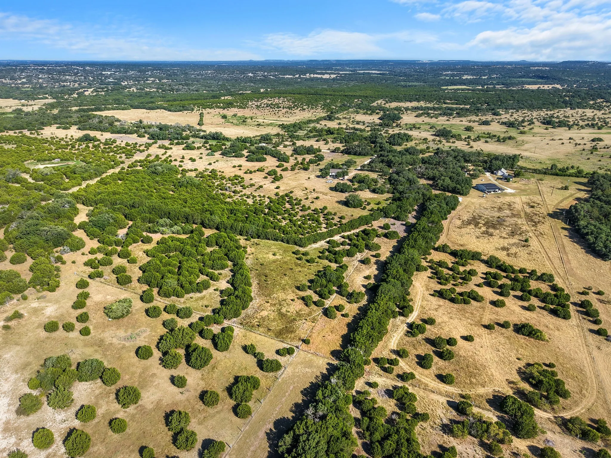 Expansive acreage featuring diverse tree coverage and open land