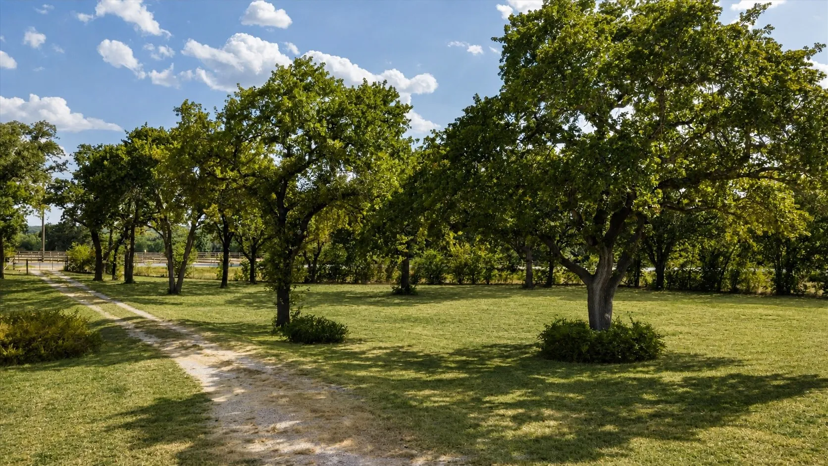 Single Family Residence For Sale in Parker County , 4201 E Bankhead Highway, Weatherford, Texas 76087, 3 Bedroom, 2 Bathroom, 2 Garage spaces, 2,144 Sqft, built in 1995, mls#21358892, Real Estate Agent in Weatherford, Homes For Sale in Parker county, Homes For Sale in Weatherford, Realtor in Weatherford Texas, Real Estate Brokerage Independent Realty Texas, Luminita Cordes Realtor