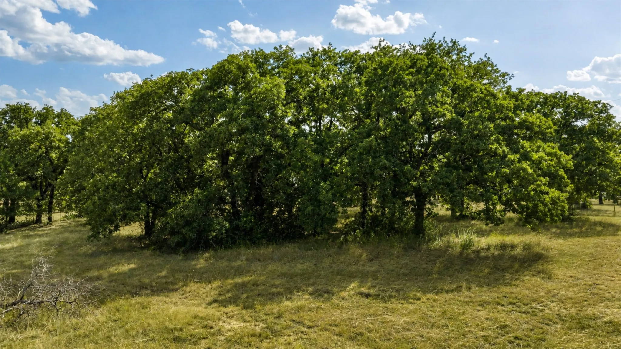 Single Family Residence For Sale in Parker County , 4201 E Bankhead Highway, Weatherford, Texas 76087, 3 Bedroom, 2 Bathroom, 2 Garage spaces, 2,144 Sqft, built in 1995, mls#21358892, Real Estate Agent in Weatherford, Homes For Sale in Parker county, Homes For Sale in Weatherford, Realtor in Weatherford Texas, Real Estate Brokerage Independent Realty Texas, Luminita Cordes Realtor