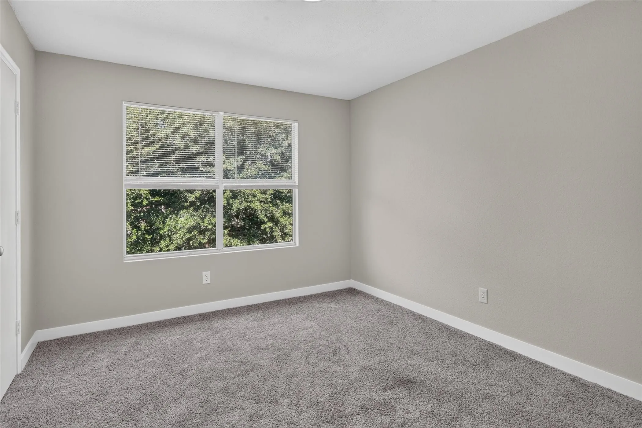 Neutral wall color with white trim and grey carpet flooring