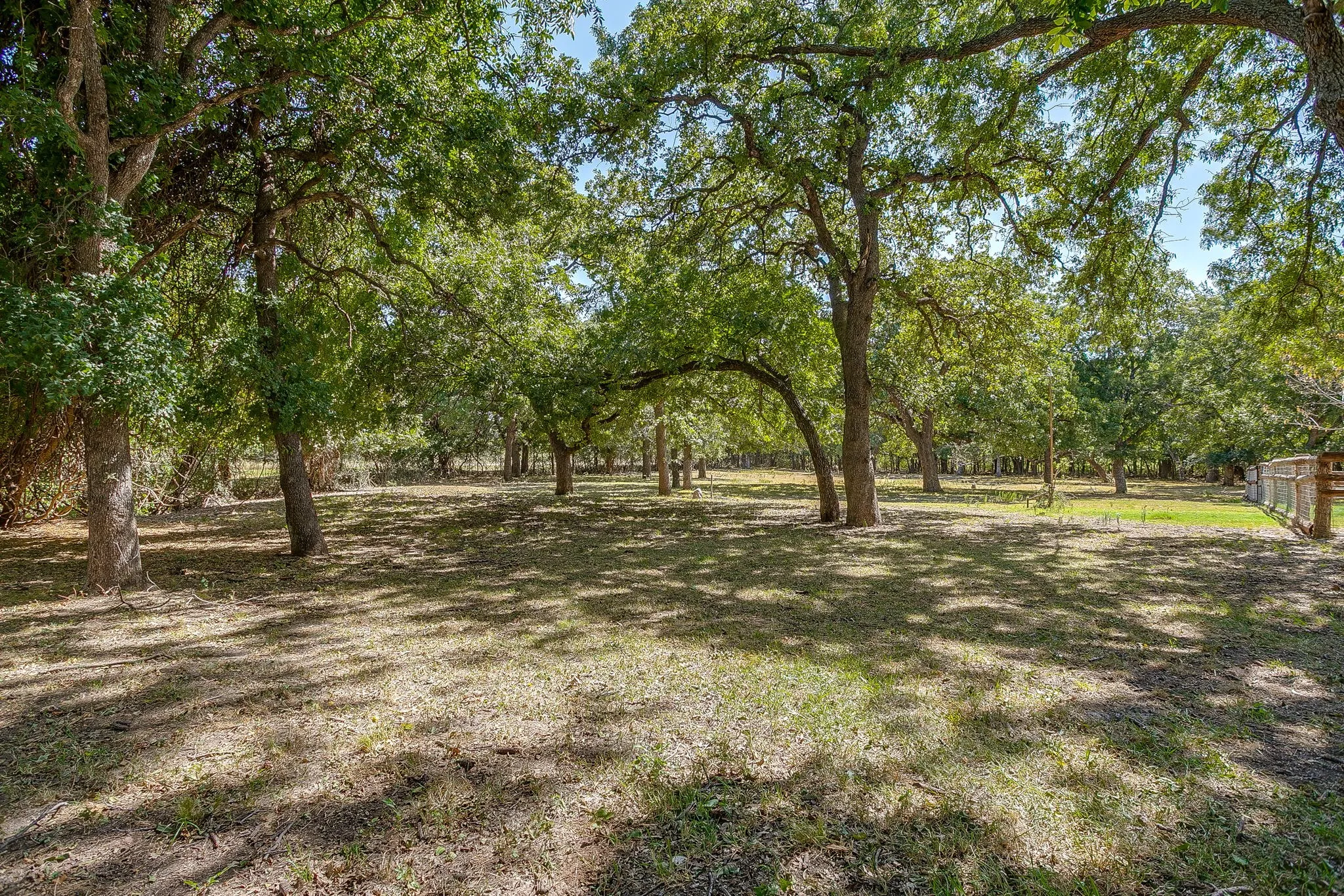 Farm For Sale in Jack County , 1377 E Gibtown Road, Poolville, Texas 76487, 3 Bedroom, 2 Bathroom, 2 Garage spaces, 2,247 Sqft, built in 1969, Price $795,000, mls#21362045, Real Estate Agent in Poolville, Homes For Sale in Jack county, Homes For Sale in Poolville, Realtor in Poolville Texas, Real Estate Brokerage Independent Realty Texas, Luminita Cordes Realtor