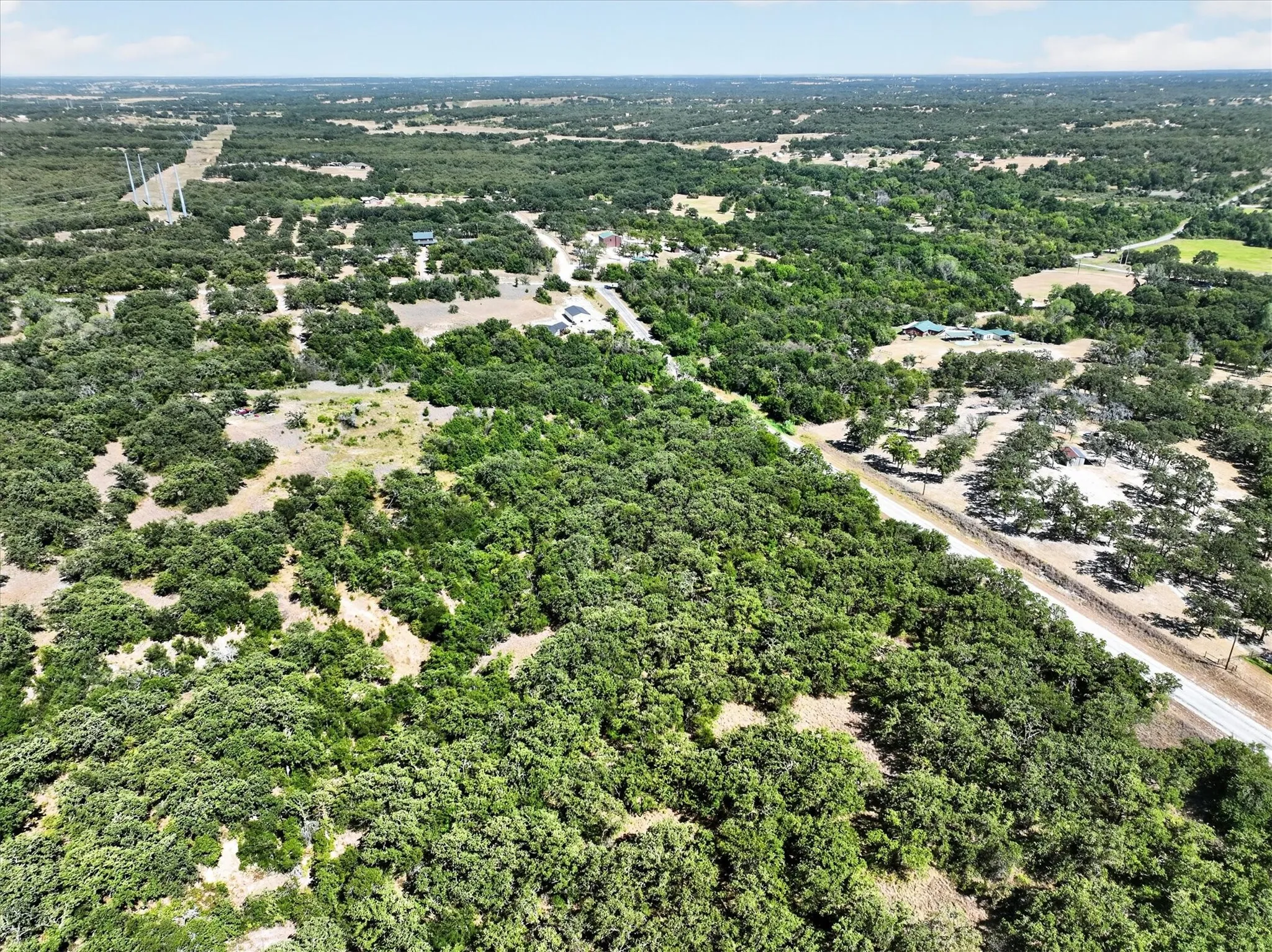 Expansive wooded acreage featuring diverse tree cover and an unpaved road